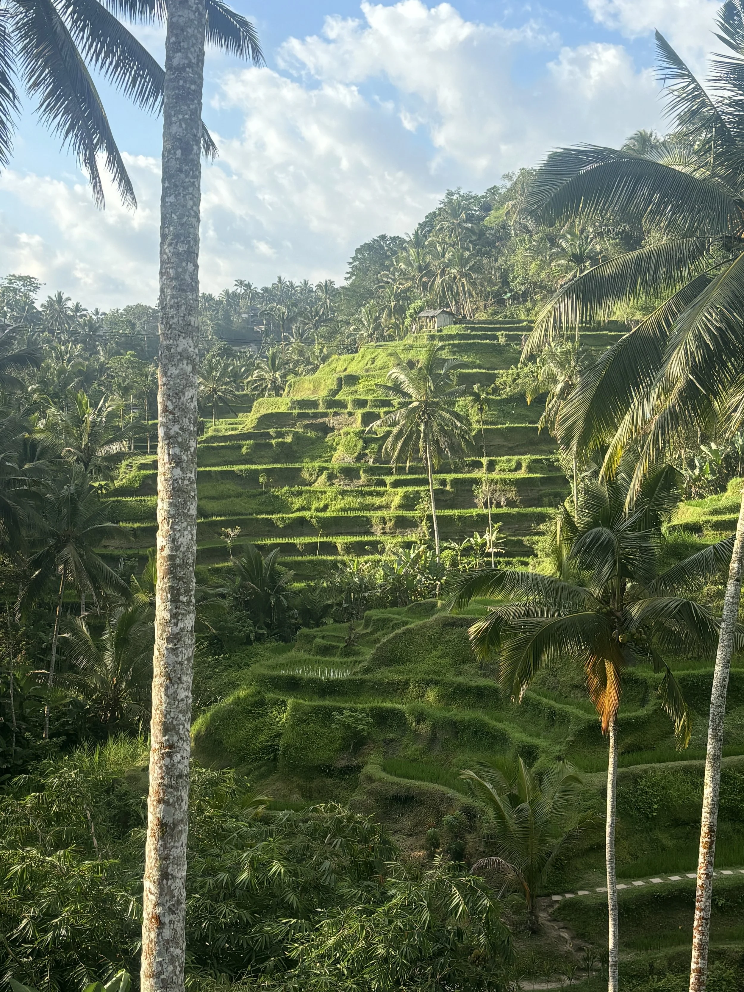Oceania Journey: New Zealand, Australia, Bali in 3 Beautiful Weeks