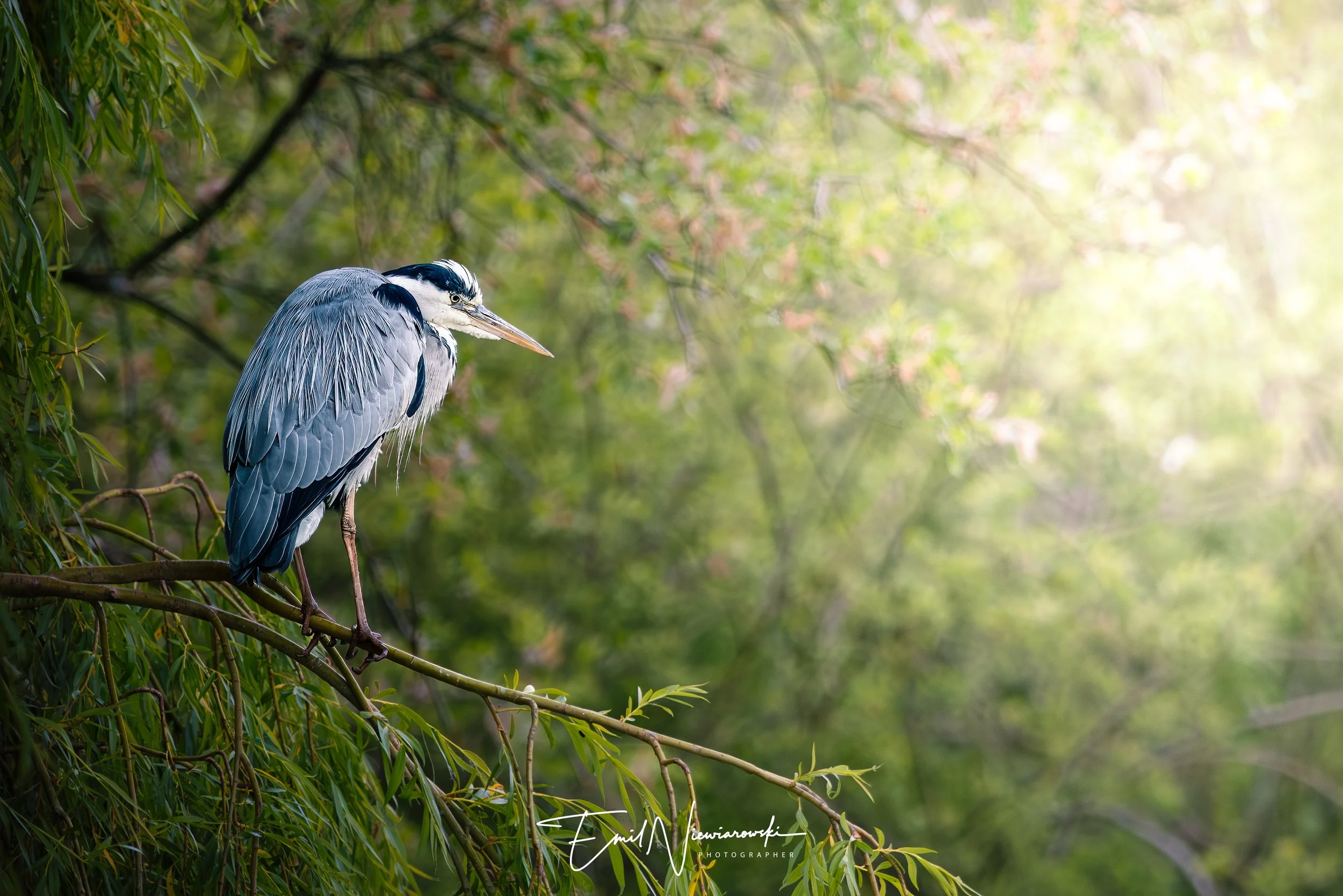 XH2S0342-Edit-2-Edit.jpg