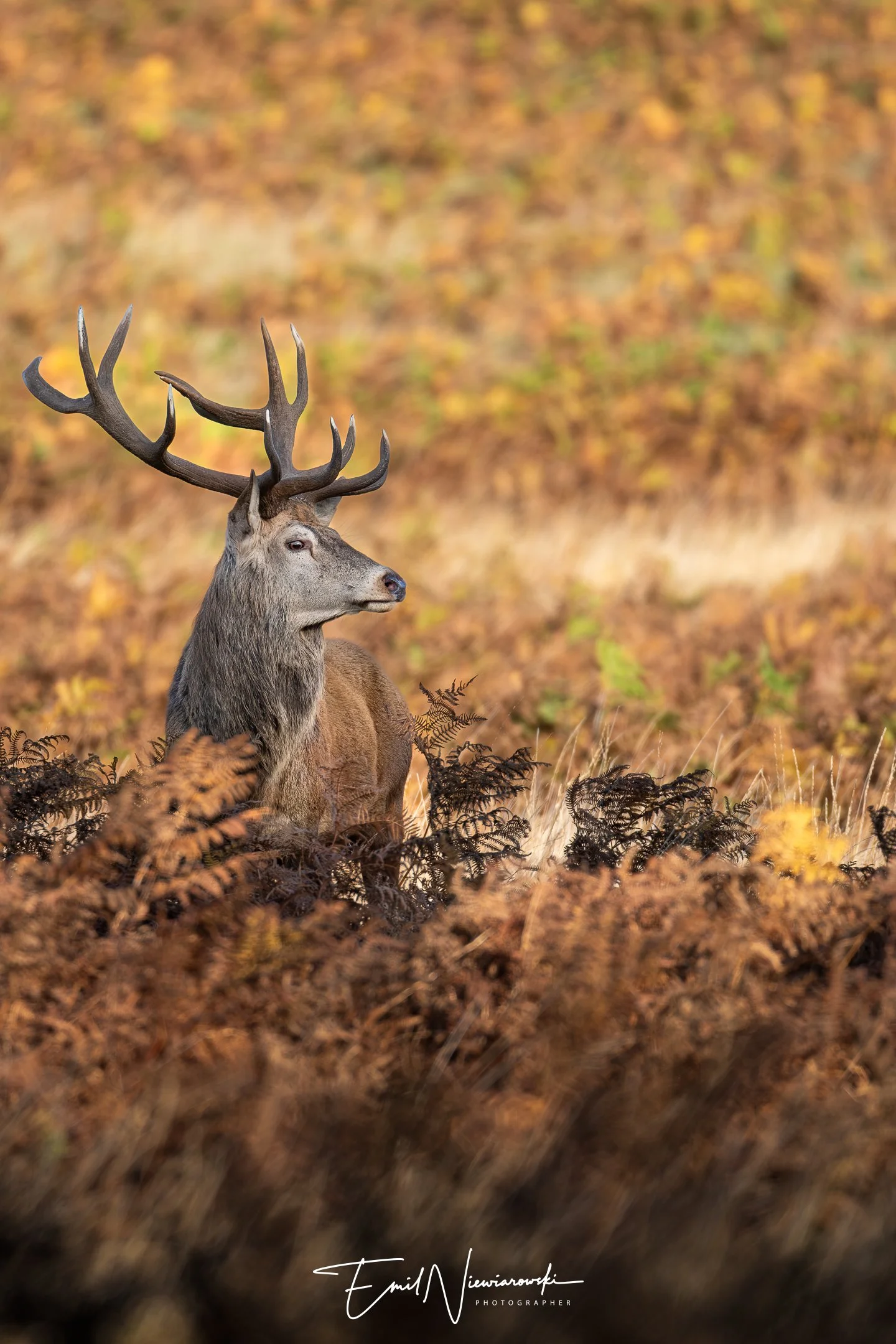 XH2S0360-Edit.jpg