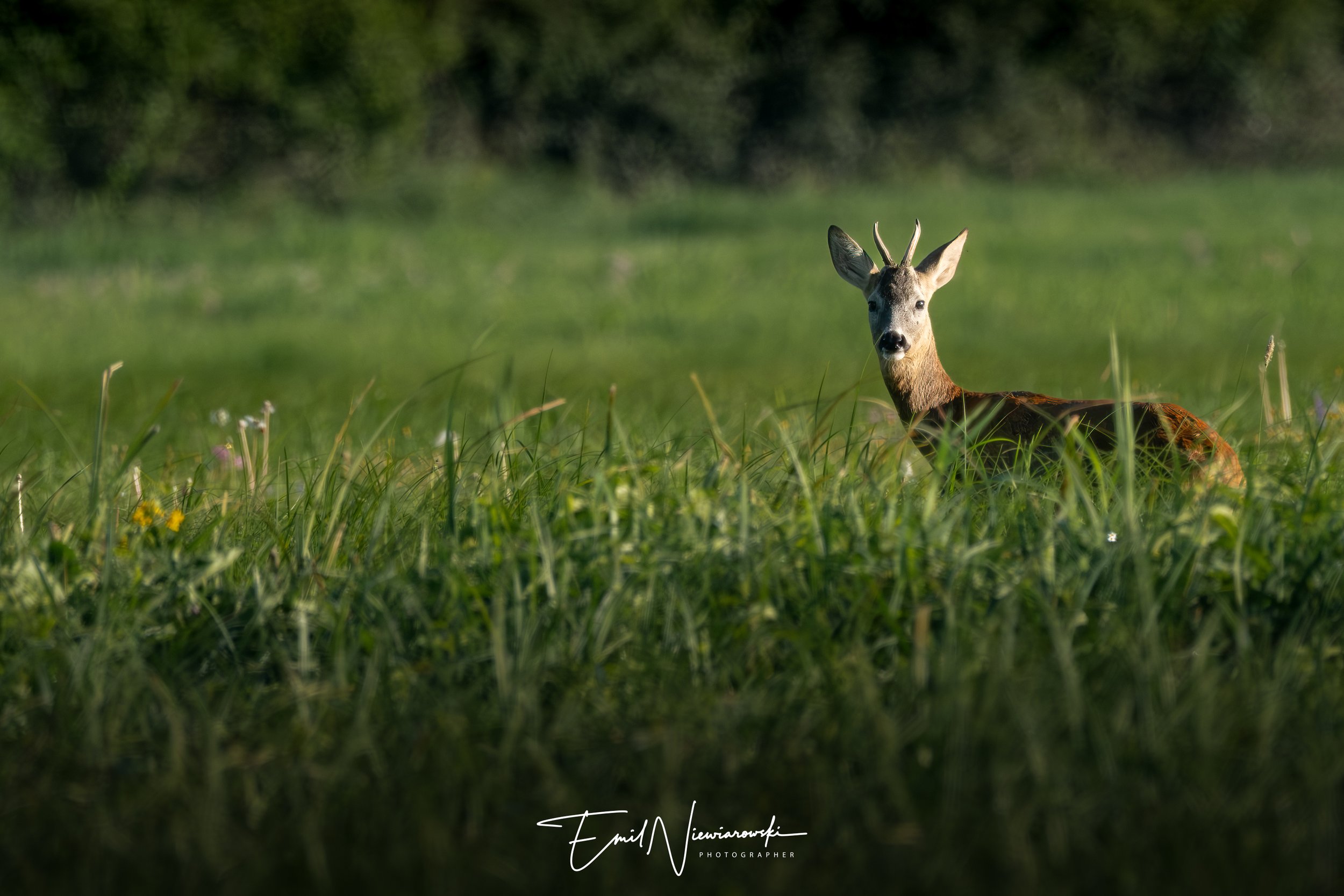 XH2S1186-Edit-2.jpg