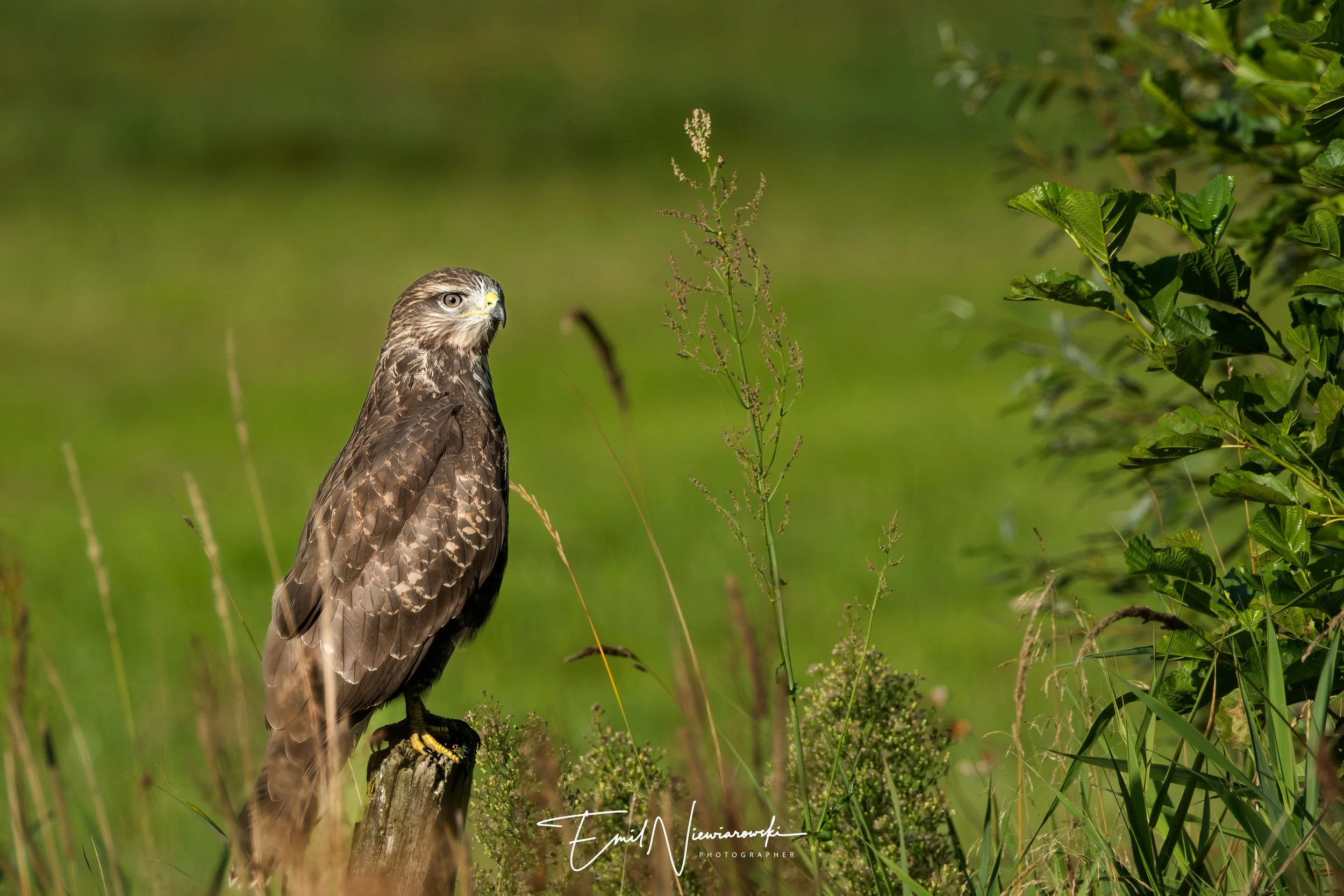 XH2S1253-Edit-Edit-Edit.jpg