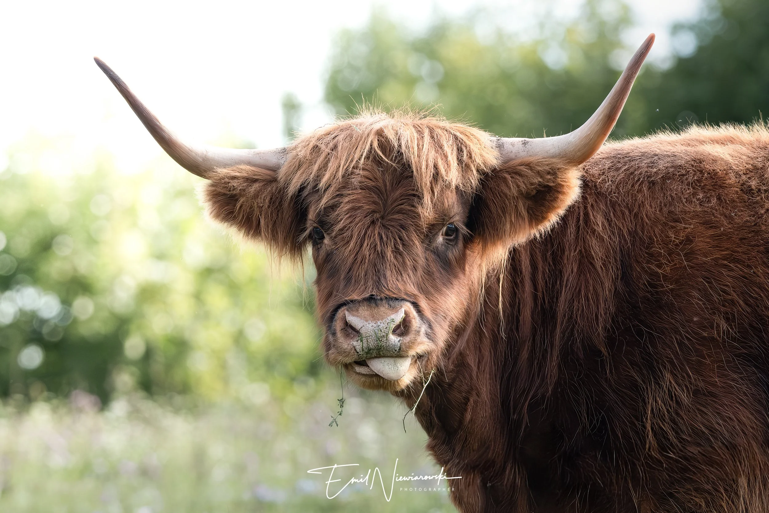 XH2S1501-Edit-2.jpg