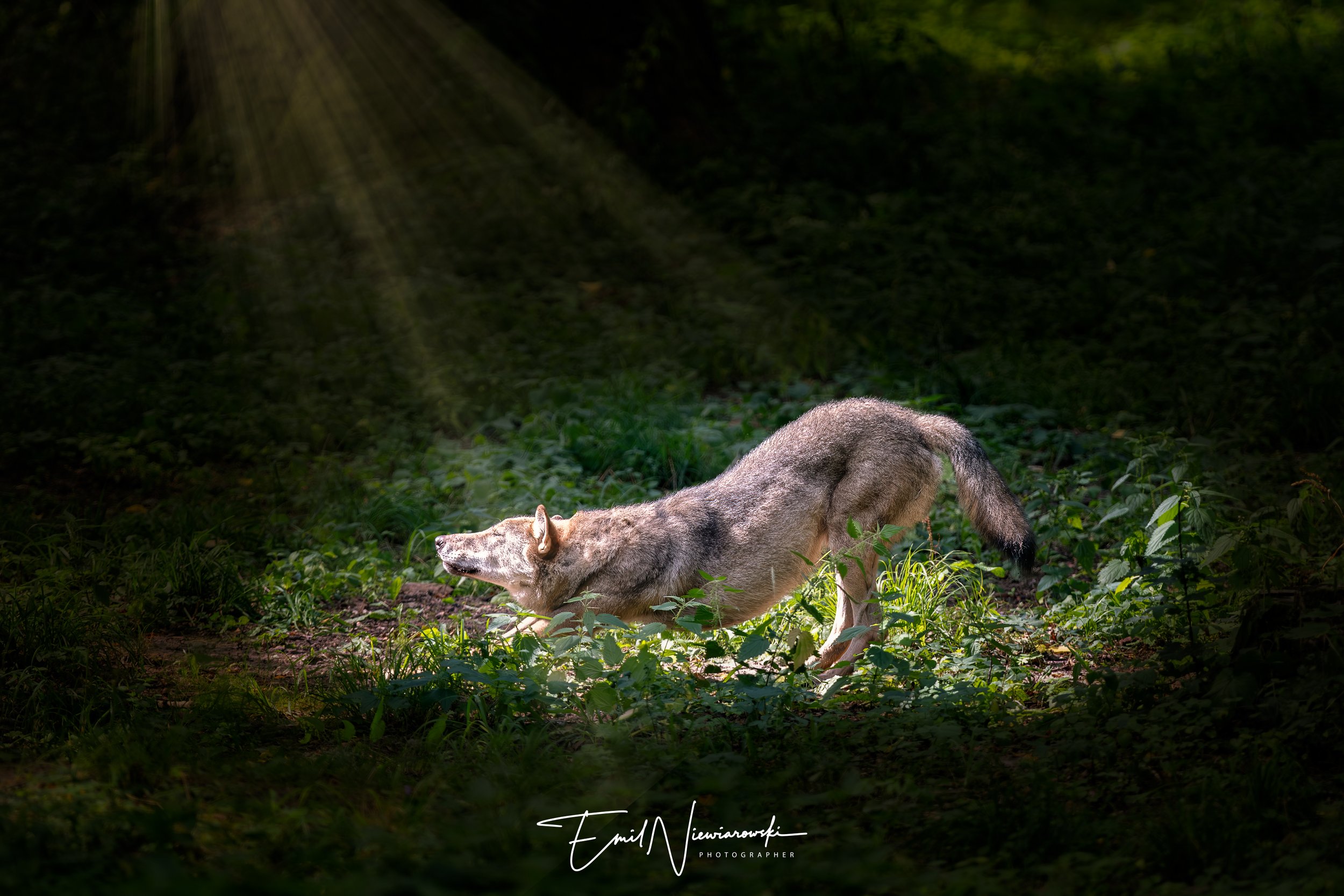 XH2S3300-Edit-Edit.jpg