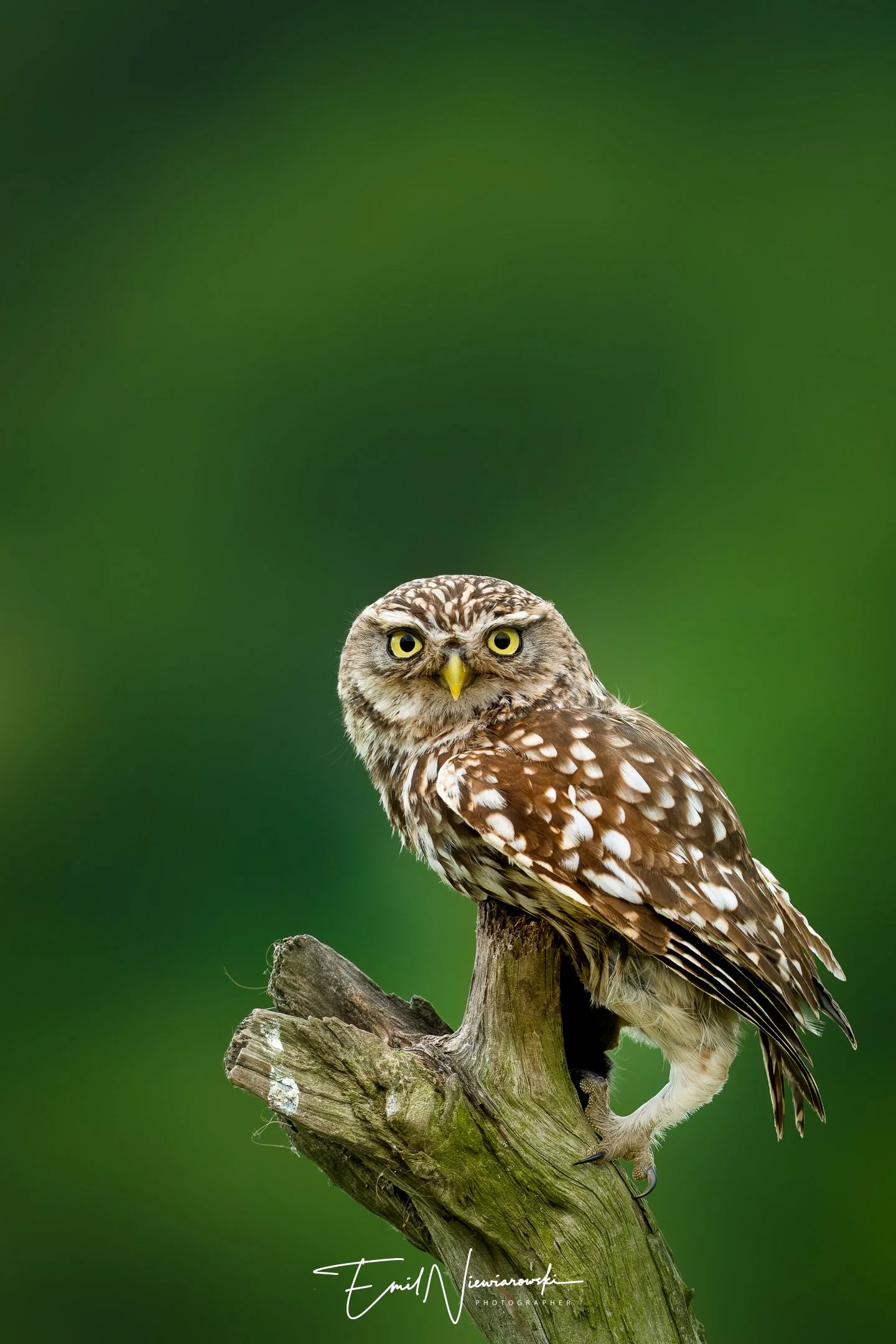 XH2S9063-Enhanced-NR-Edit-Edit.jpg