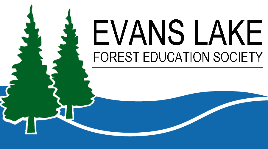 JAN - FEB 2021 Evans Lake Forest Education Society  ($105)