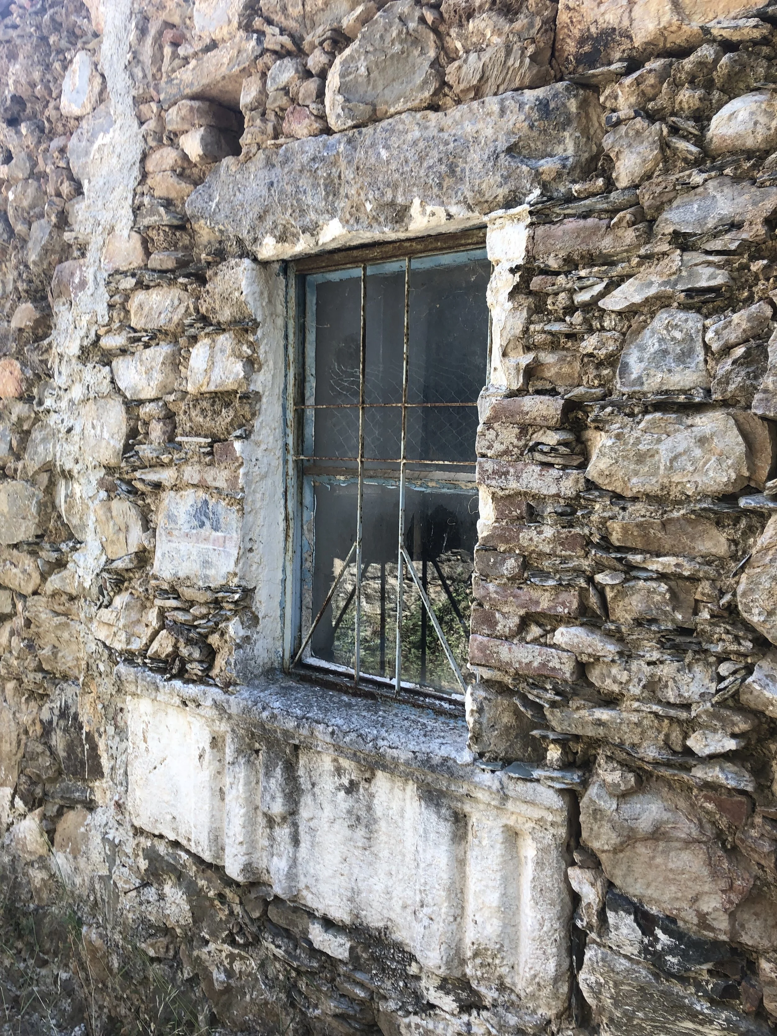 IMG_3386.jpeg