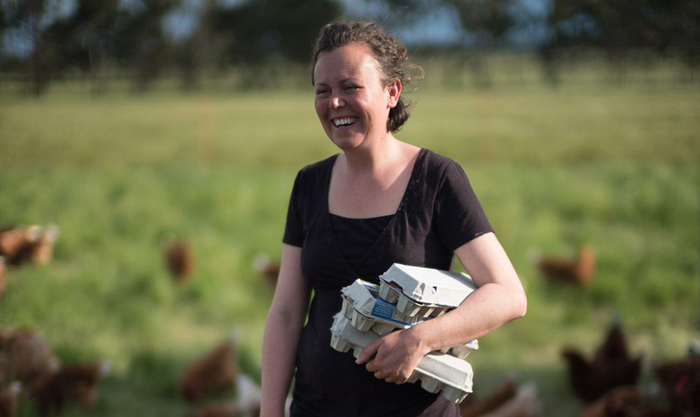 Learn how to keep backyard chooks.jpg