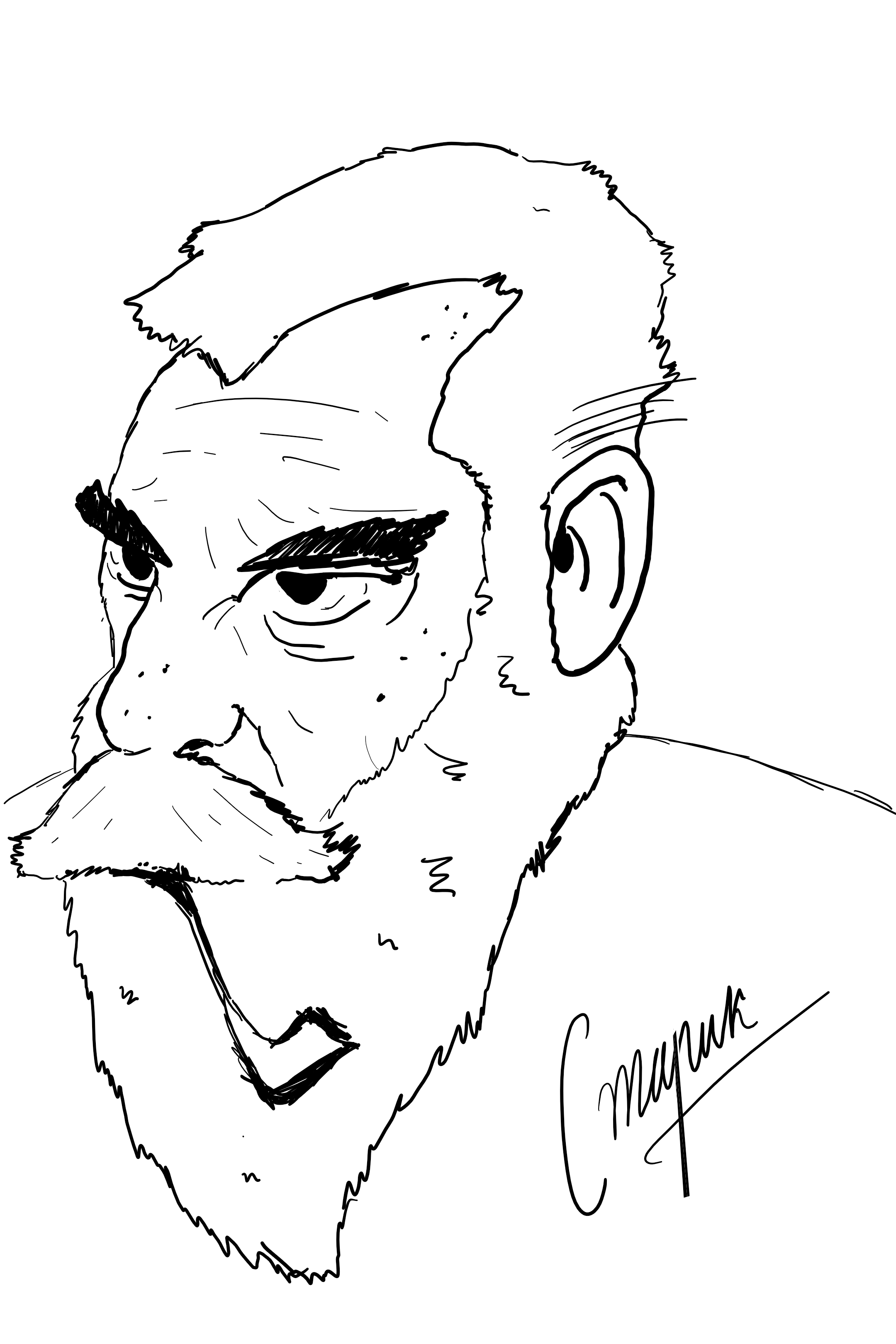 CTAPIK.png