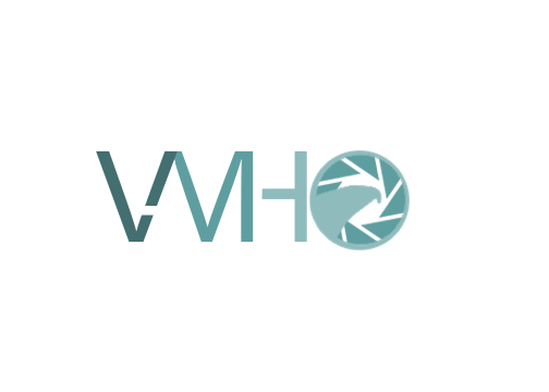 vmh-Recovered (1).png
