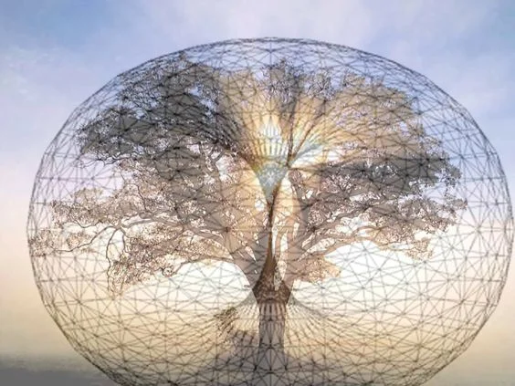 tree toroid.jpg
