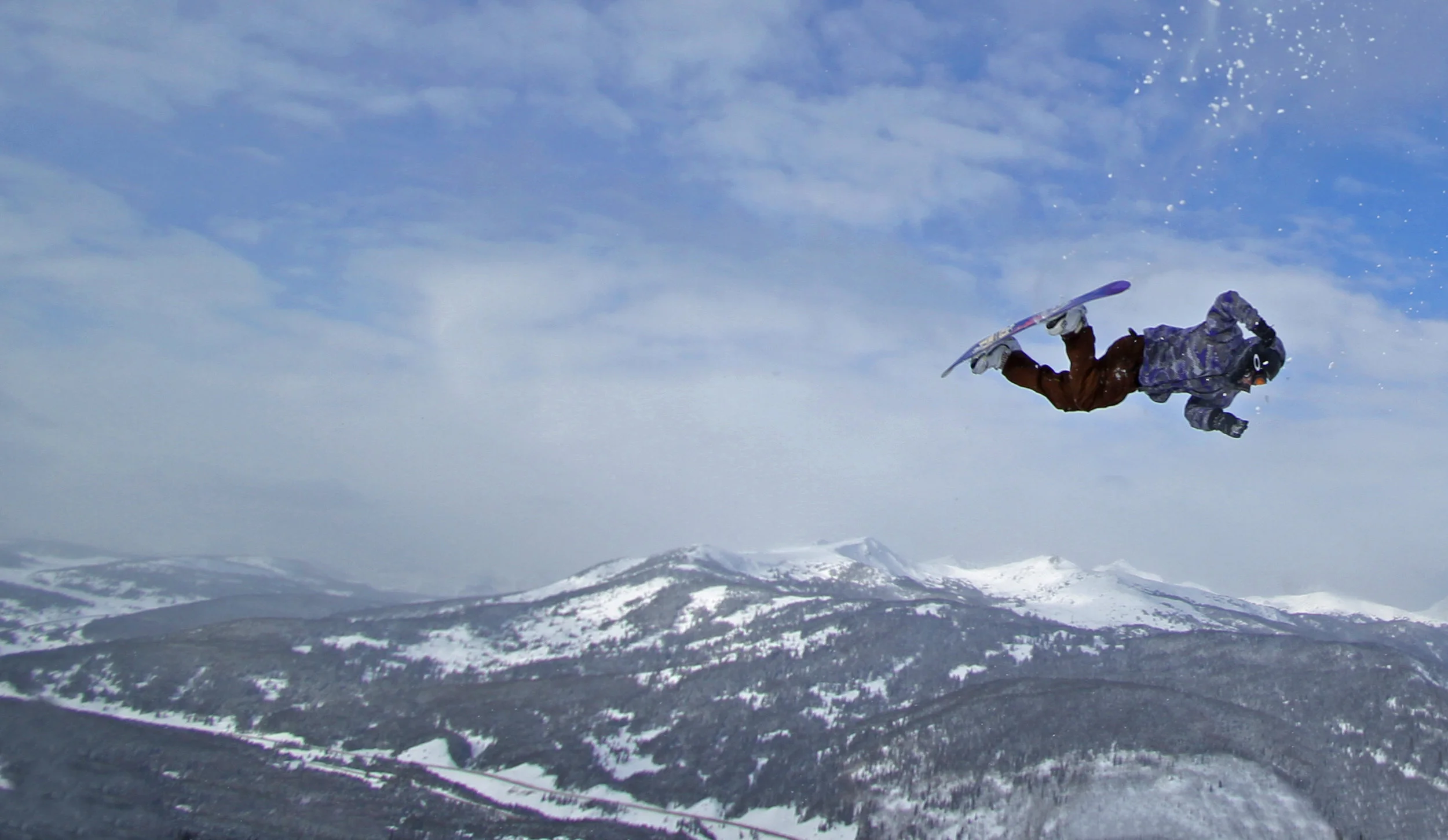 Jan 25 2011_0097 edit.jpg