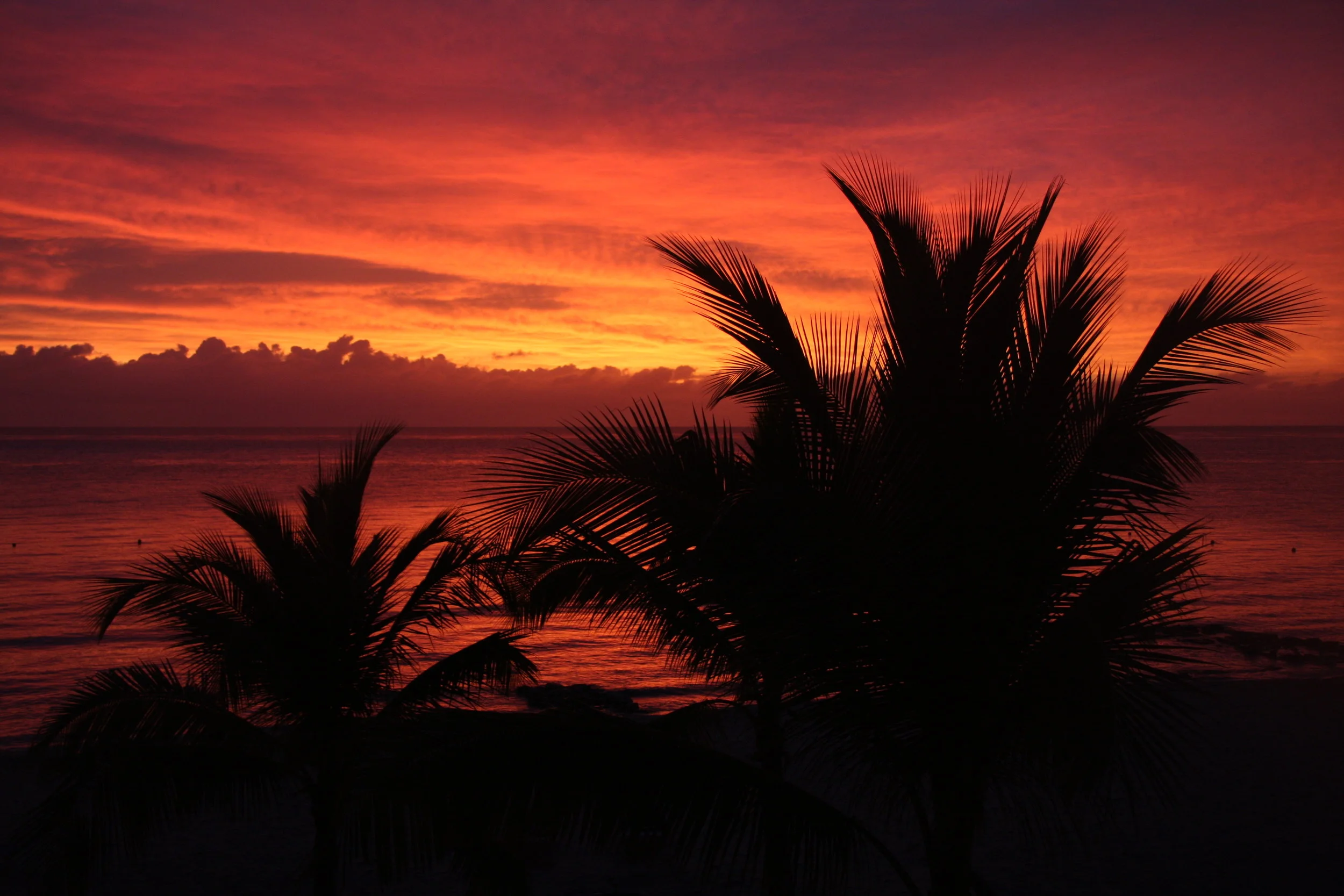 Cozumel_0025.jpg