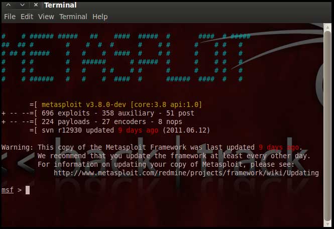 pentesting-metasploit-screen3_big.jpg