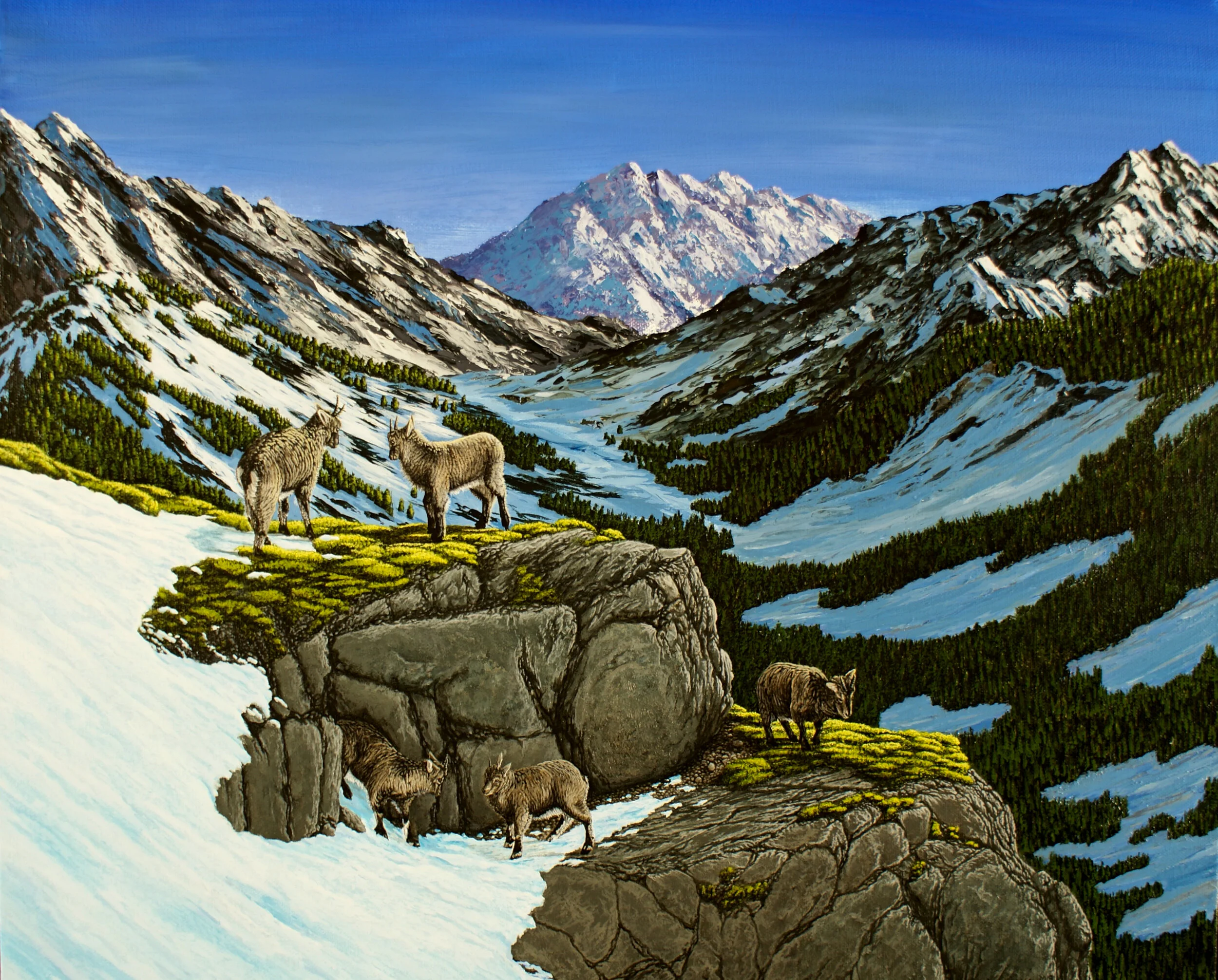 Grazing in Morning Light.jpg