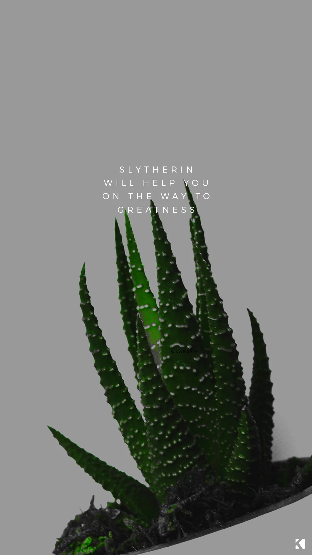 tumblr_ok907vmEnD1ua6ypzo3_1280.jpg