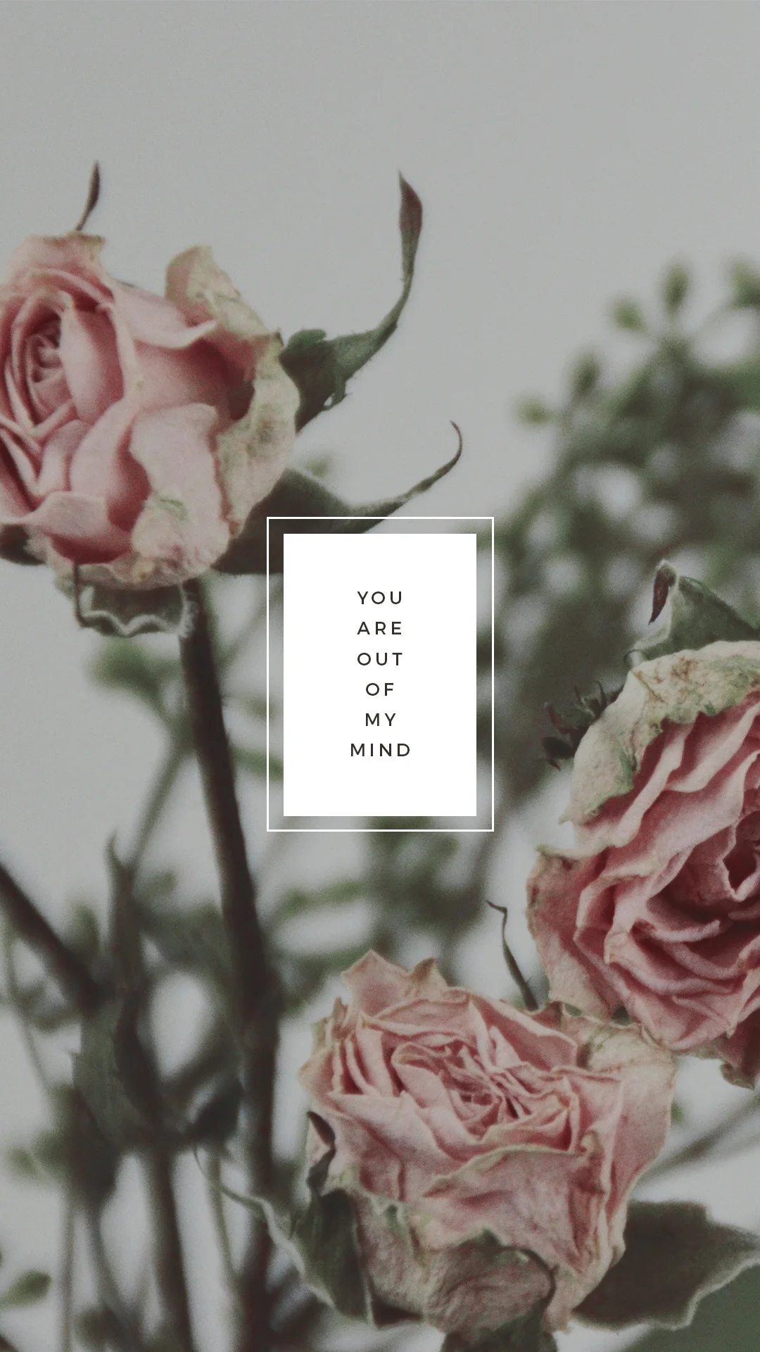 tumblr_ocpdiqFp3p1ua6ypzo2_1280.jpg