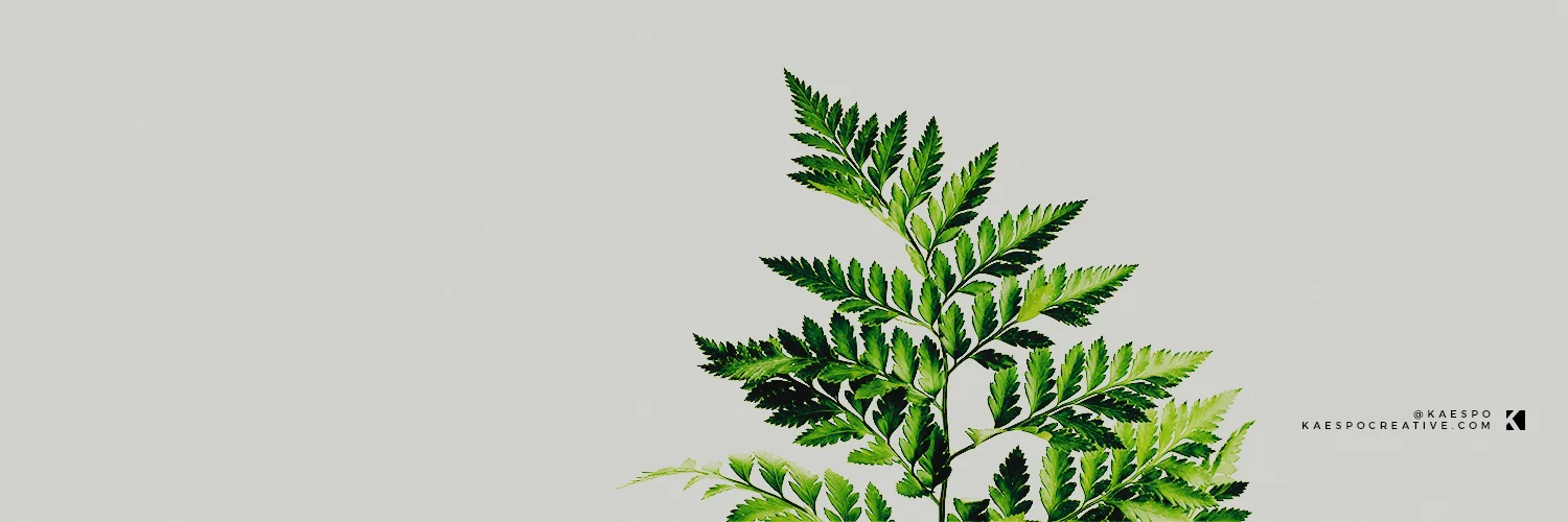 Twitter Headers Minimal Vintage Greenery Backgrounds Kaespo Design