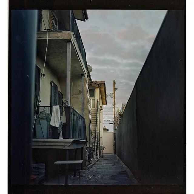 Neighborhood walk pt 2:
Neighbors ally
Hasselblad 500c | Kodak portra 400