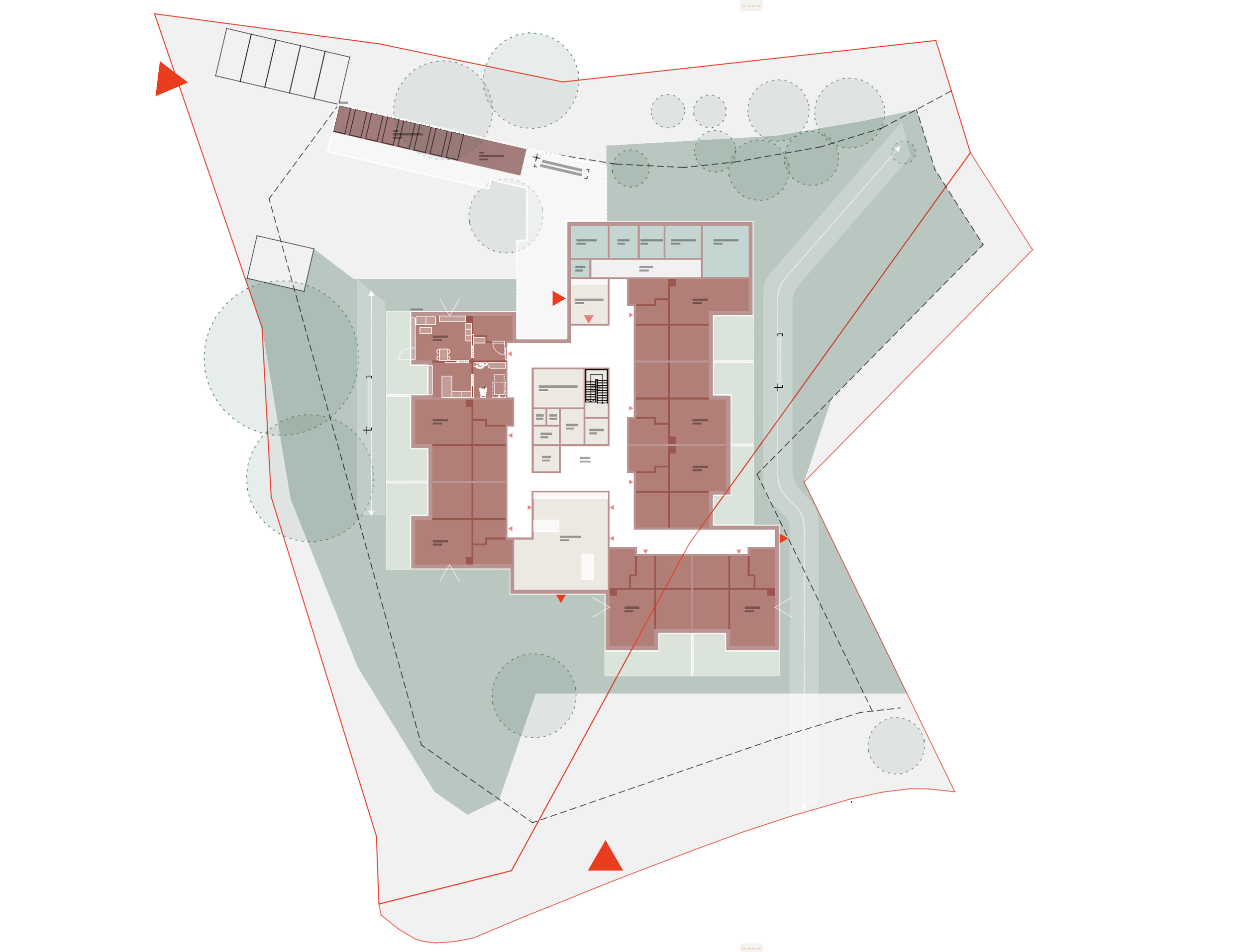 BOA illustrasjon.png