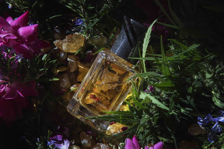 FORBIDDEN BOTANICA Discovery Set - Extrait de parfum 2ml x 5 — EXTRA VIRGO