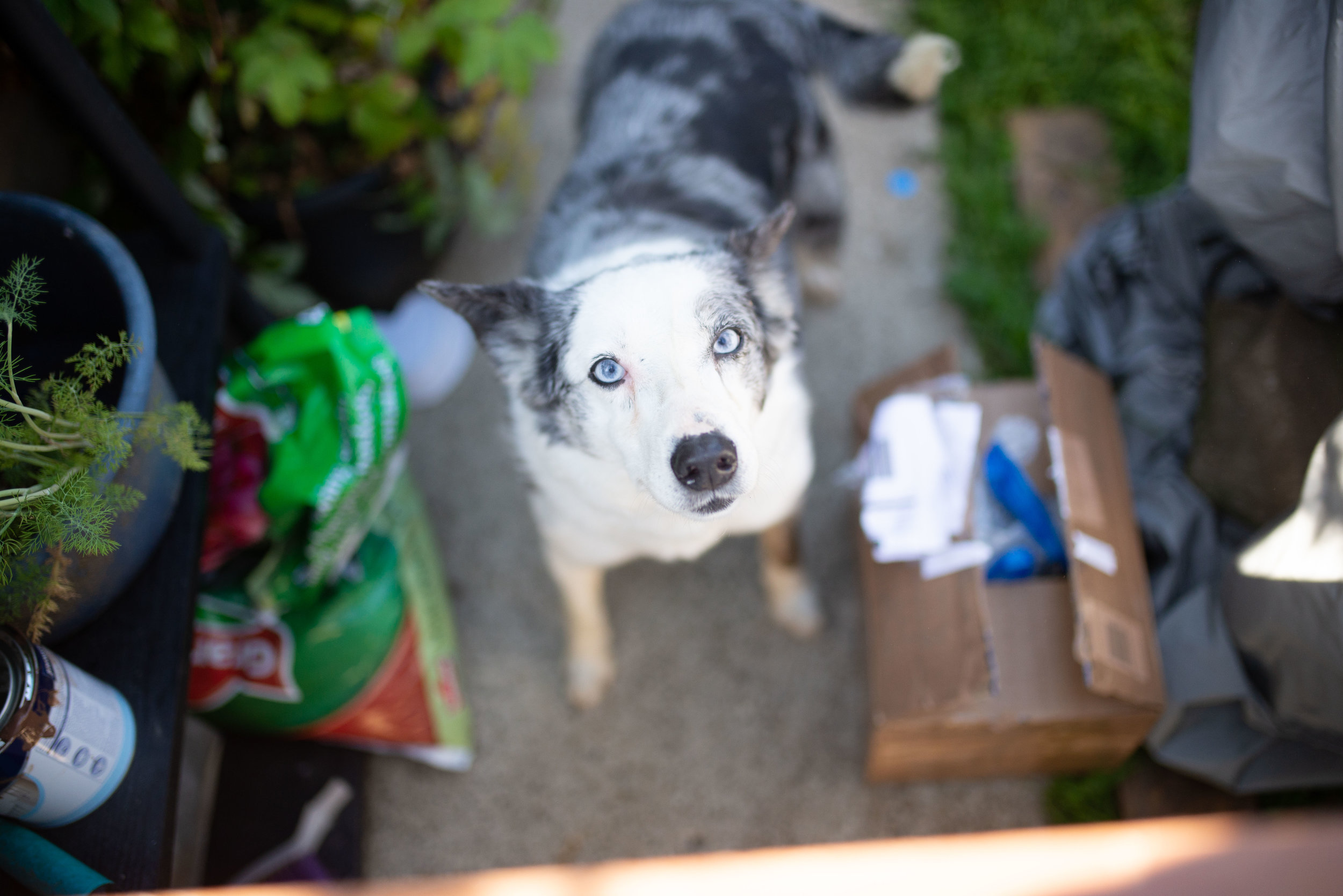 DSC_0974.jpg