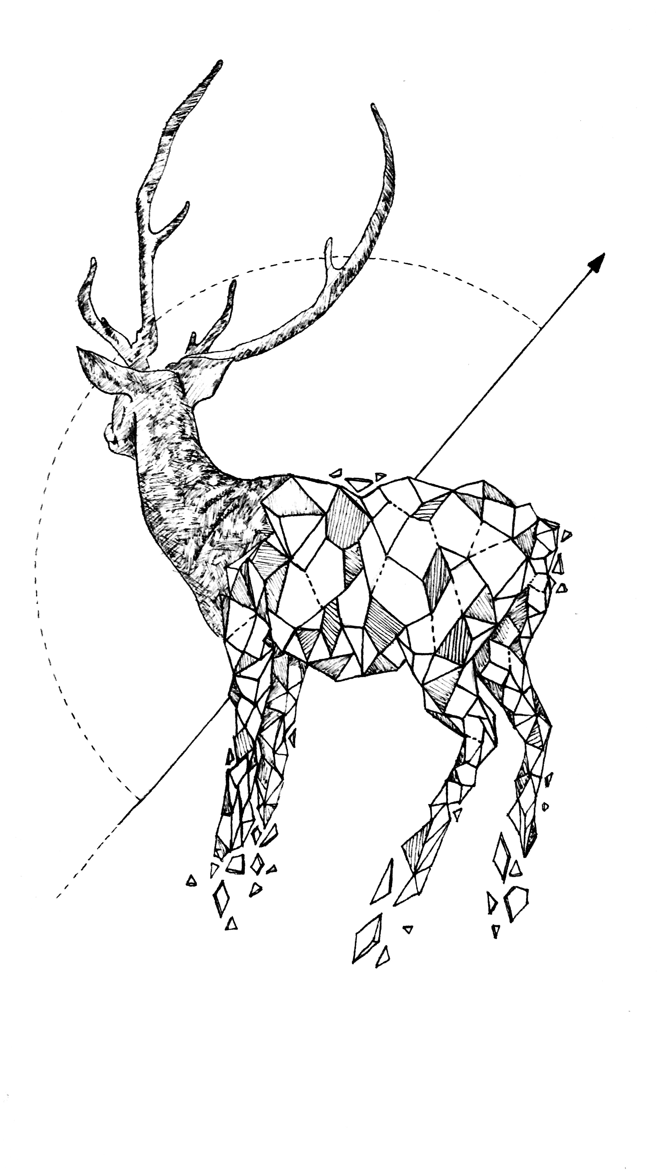 Clash with a hunter's arrow
