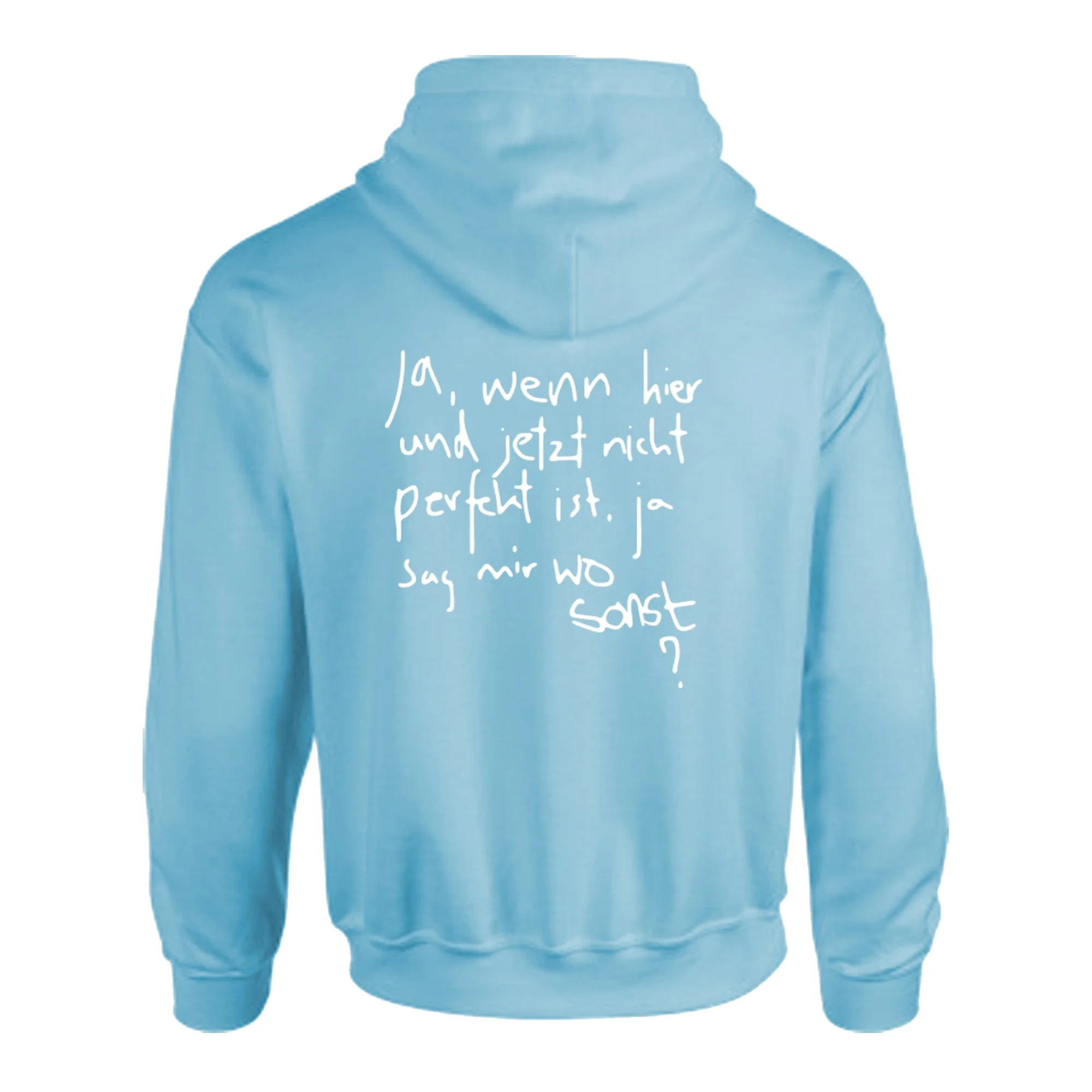 Hoodie_back.jpg
