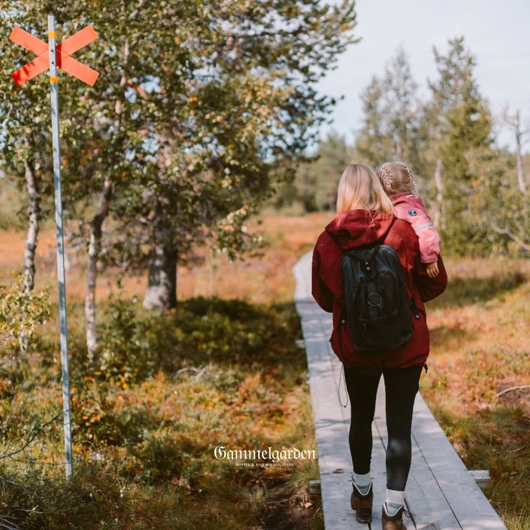 Höstmagin på fjället 🤎🧣
Vilken led gillar du bäst?
Från Gammelgården tar du dig enkelt ut på fjället, bilen kan du låta stå.
Och tror du att du redan gått på de flesta lederna? Lu