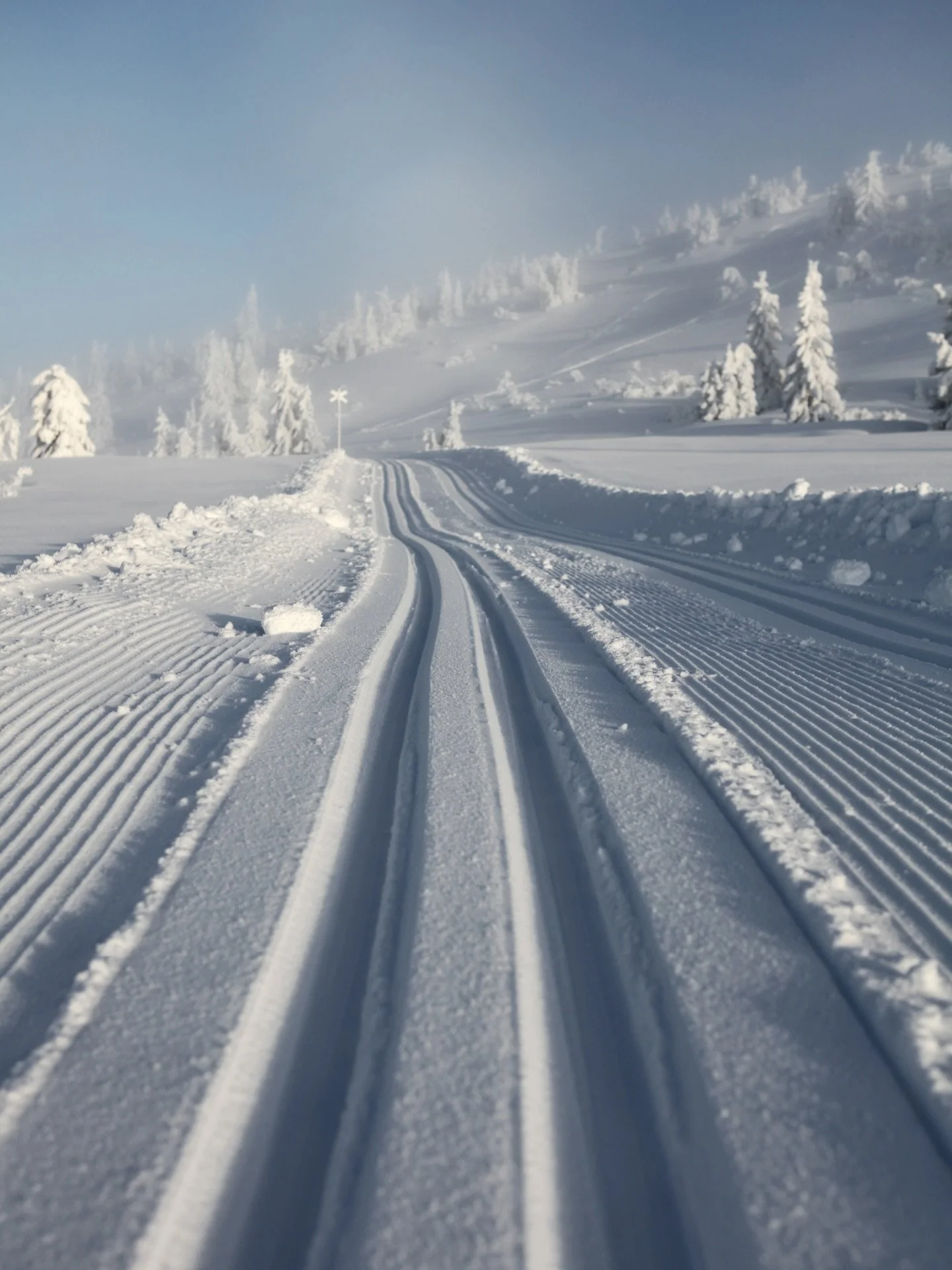 H&auml;r kommer mer av skidl&auml;gret Top of the line 15-18 januari ❄️ 

&Aring;rets maxade skidhelg d&auml;r bland annat stj&auml;rnkocken Melker Andersson &auml;r med oss!

Platserna g&aring;r &aring;t s&aring; in och l&auml;s mer om helgen och bo