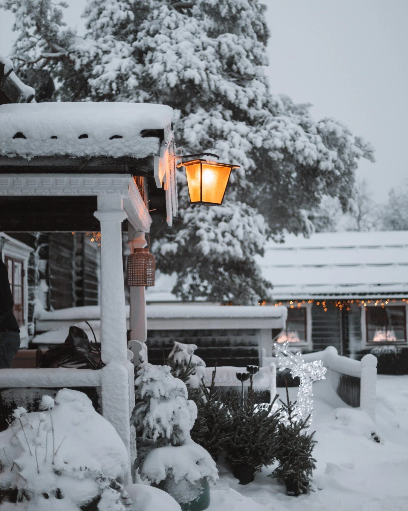 V&aring;ffelstugan &ouml;ppnar idag f&ouml;r s&auml;songen, &auml;ntligen!!

Kom in och v&auml;rm dig en stund, det &auml;r sv&aring;rt att inte trivas h&auml;r med brasan som sprakar. Det &auml;r dessutom otrolig julst&auml;mning h&auml;r inne just 