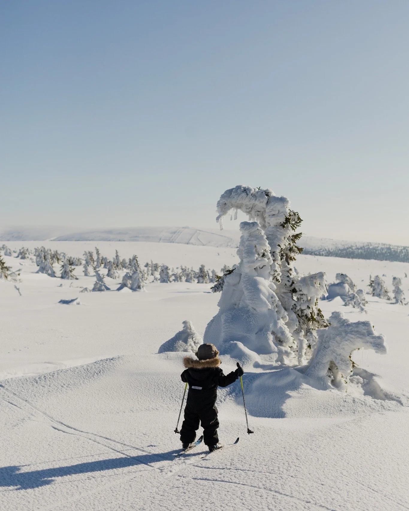 Sportlov handlar om enkla &amp; riktigt bra fj&auml;lldagar!

Rakt &ouml;ver v&auml;gen v&auml;ntar b&aring;de hundspann, skotersafari och d&auml;rifr&aring;n finns ocks&aring; transportliftar och dagsutflykter till v&aring;ffelstugor p&aring; fj&aum
