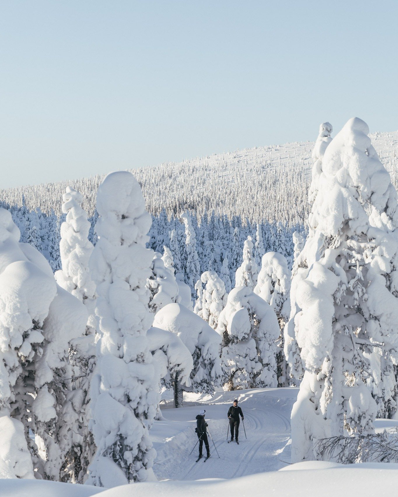 Sportlov beh&ouml;ver inte alltid vara hetsigt 🥰
Hos oss finns fortfarande boende kvar kommande f&ouml;r dig som vill komma upp och uppleva fj&auml;llen i lugnare tempo.
Hundspann och skid&aring;kning i alla former precis utanf&ouml;r d&ouml;rren oc