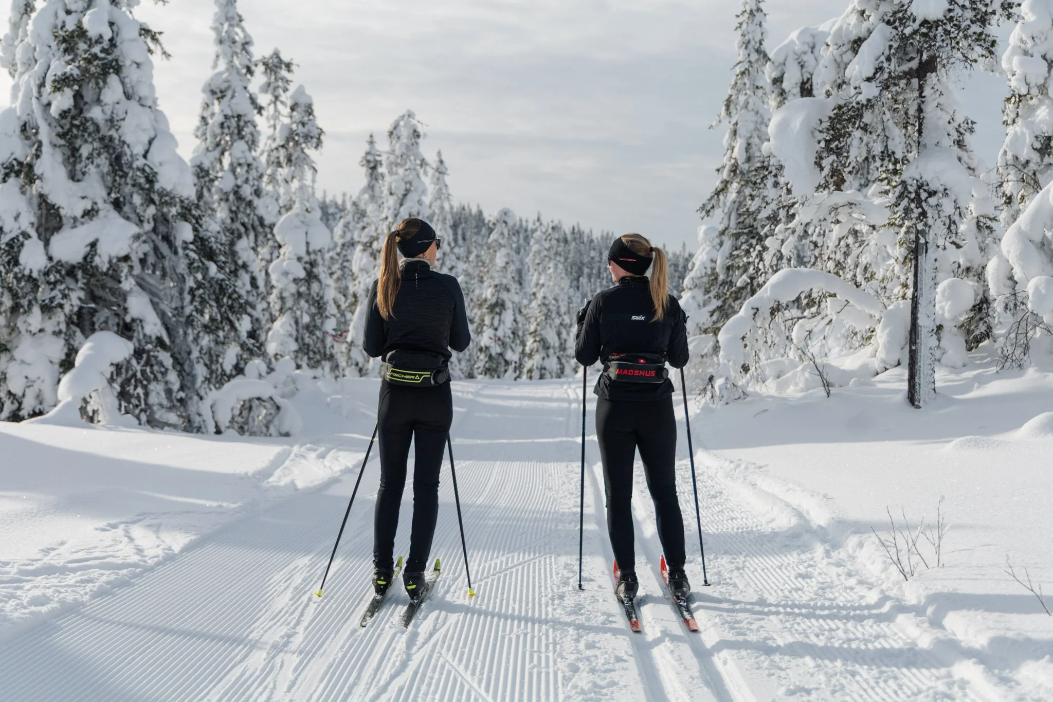 Dagar som dessa 🤍
Sp&aring;ren &auml;r dragna och imorgon g&aring;r Vasaloppet. Vi hejar p&aring; alla &aring;kare som laddar upp f&ouml;r 9 mil av vilja och hj&auml;rta!
Efter loppet smyger vi sakta vidare mot v&aring;ren och ljusare dagar. 

Gl&ou