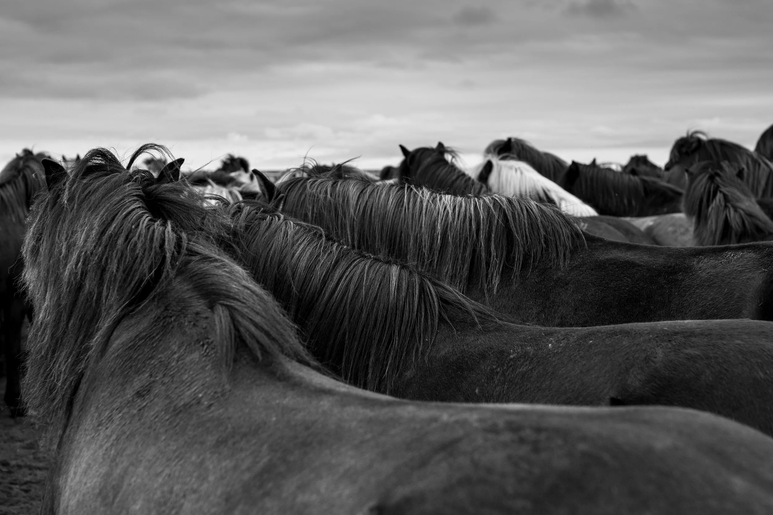 DSC01288 kopiera.jpg