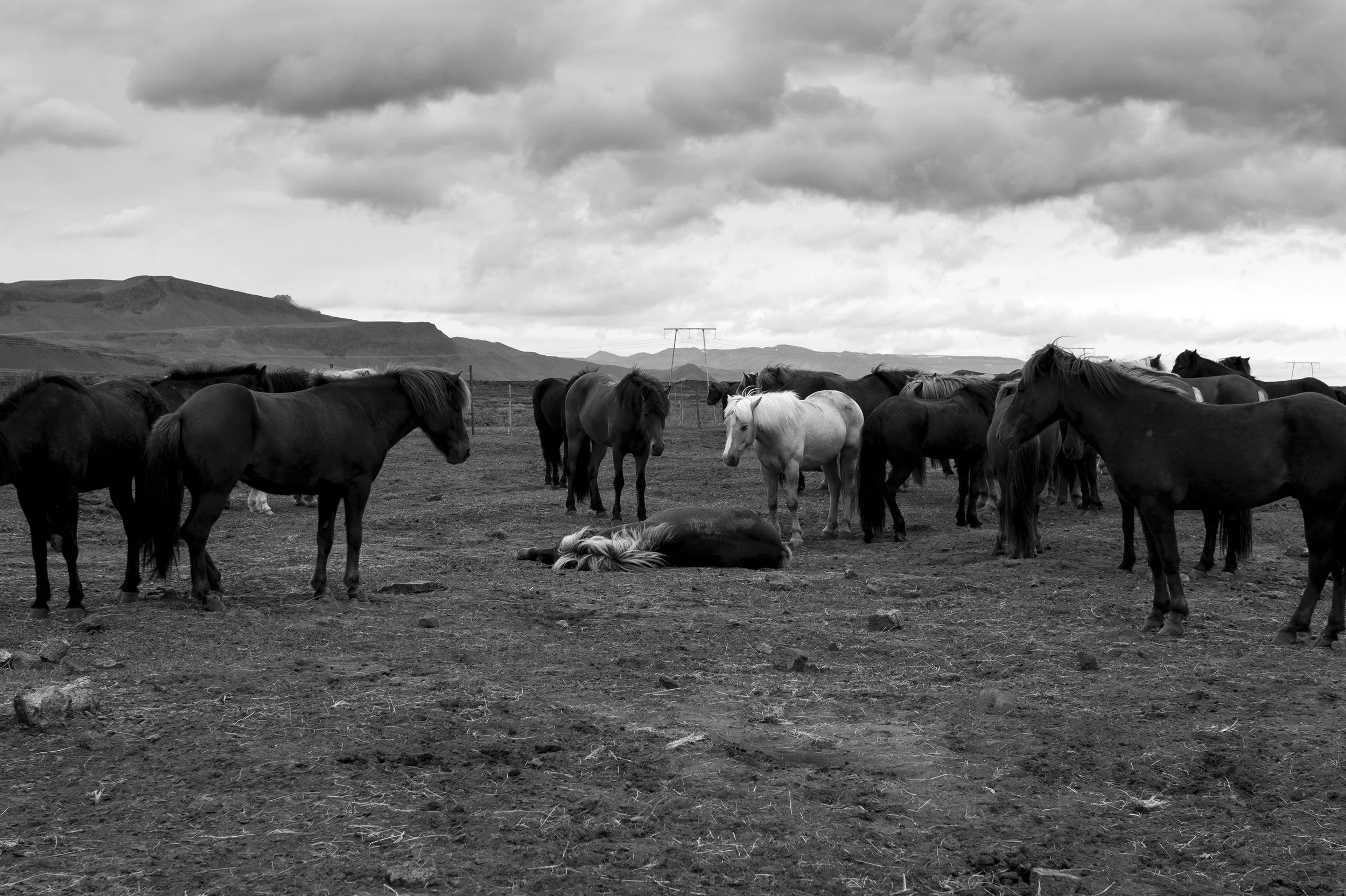 DSC01391 kopiera.jpg