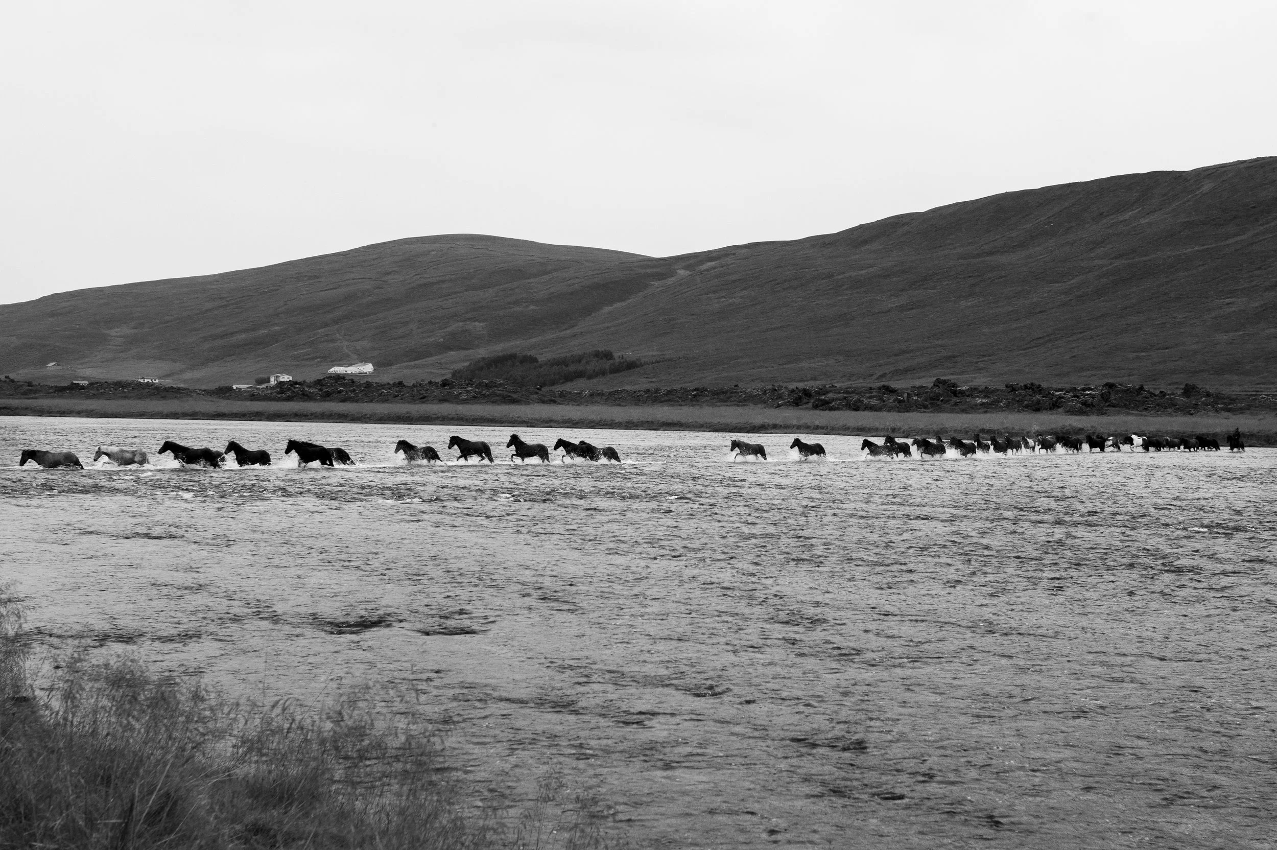 DSC01431 kopiera.jpg