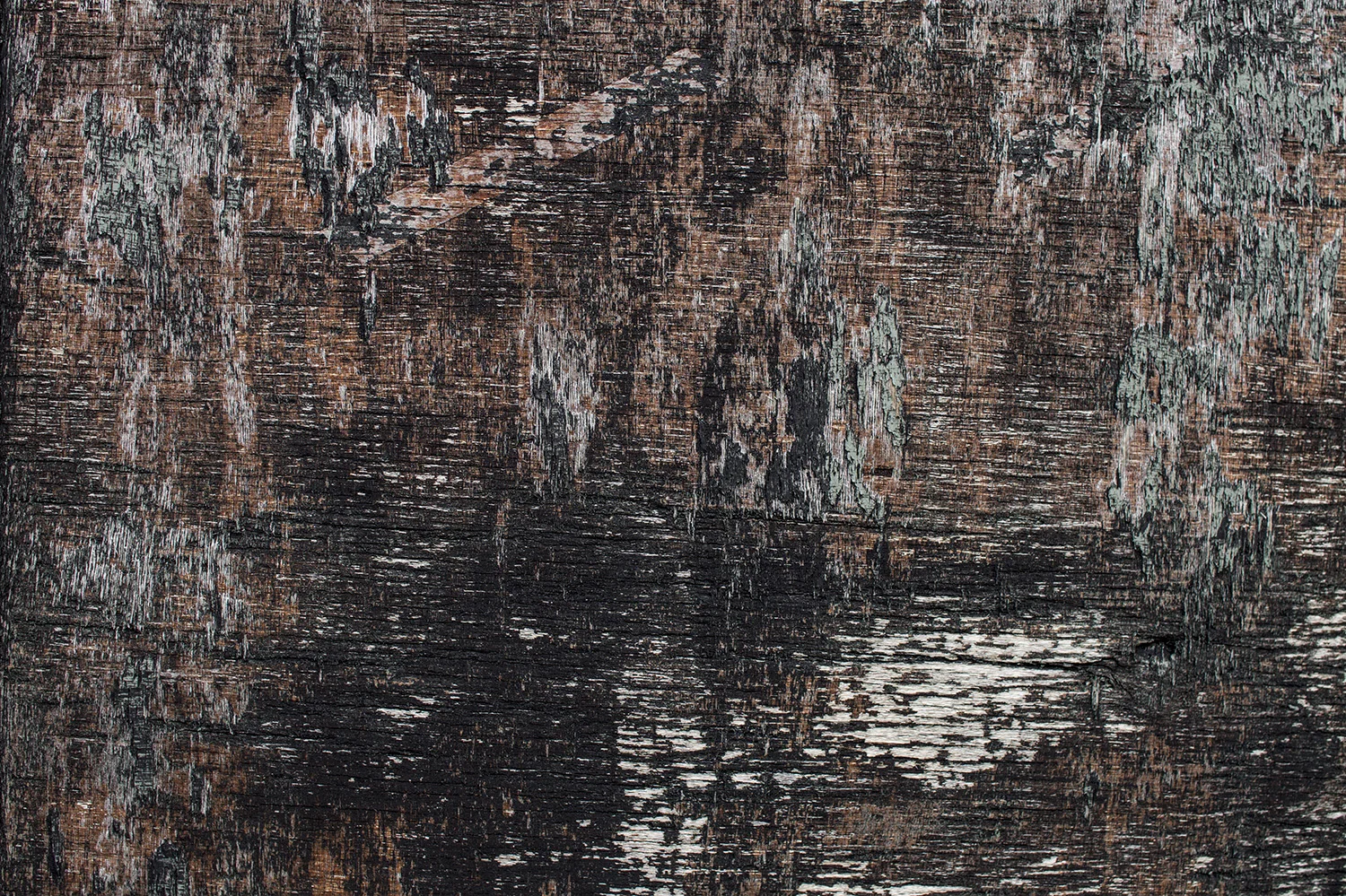 DSC03800 kopiera.jpg