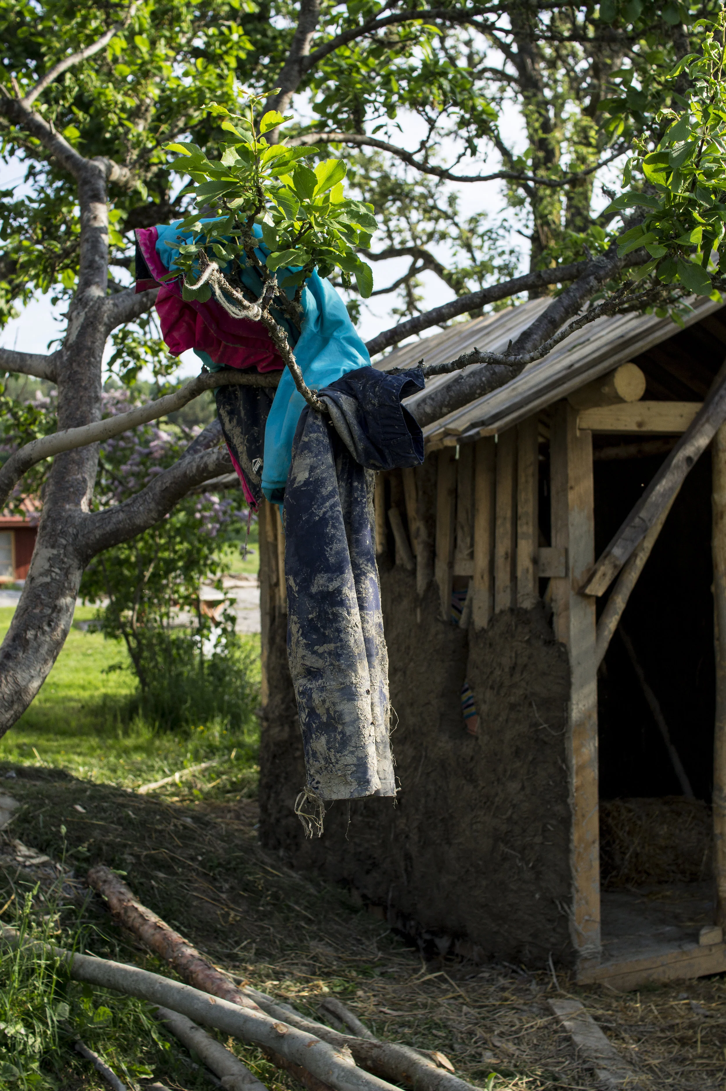 DSC05587 kopiera.jpg