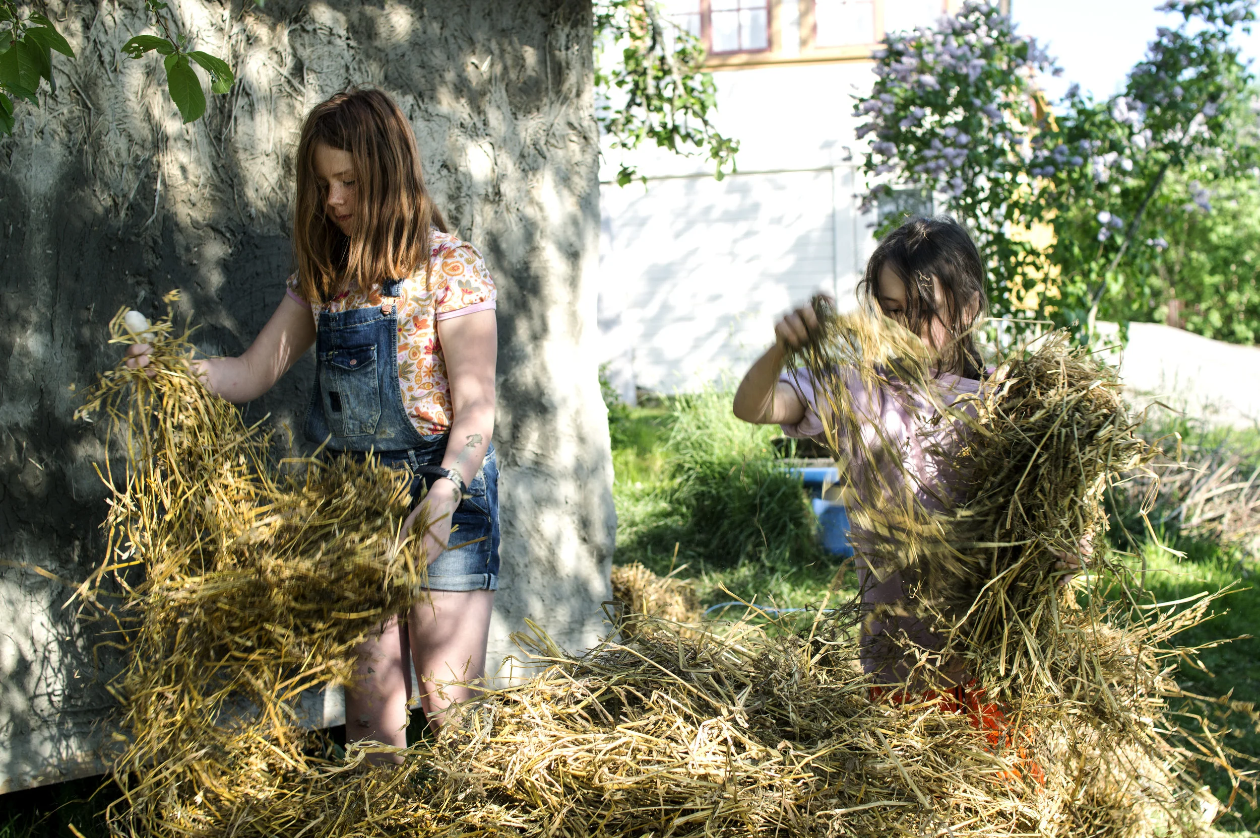 DSC05687 kopiera.jpg