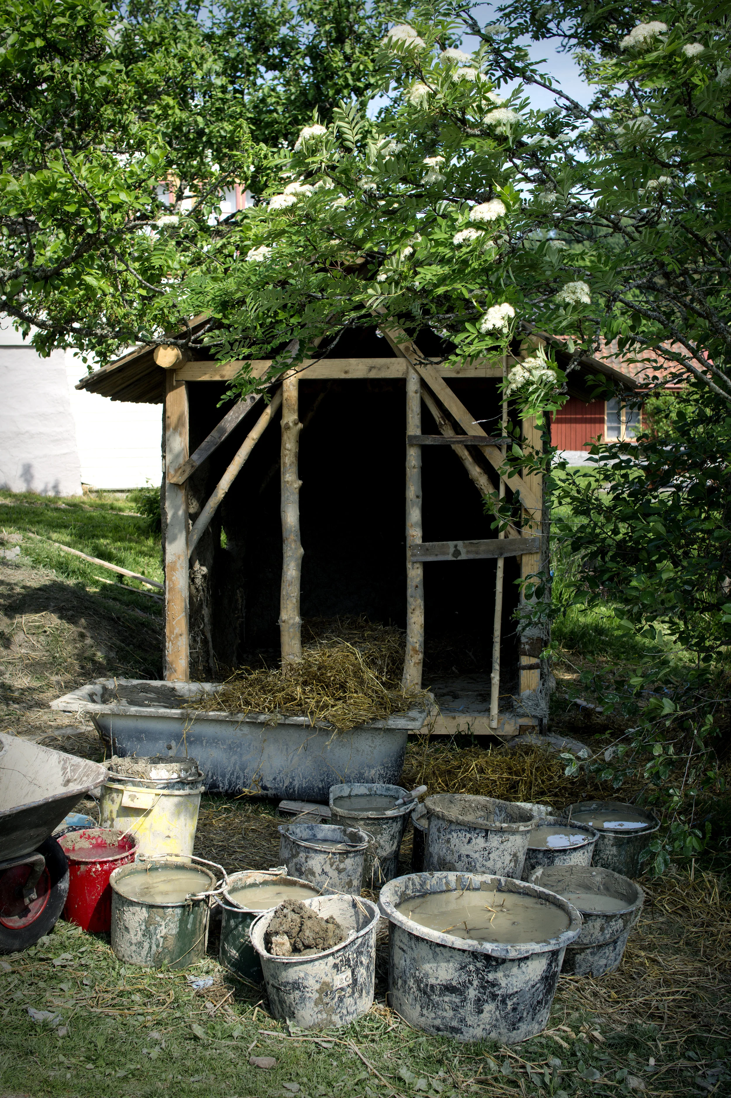 DSC05883 kopiera.jpg