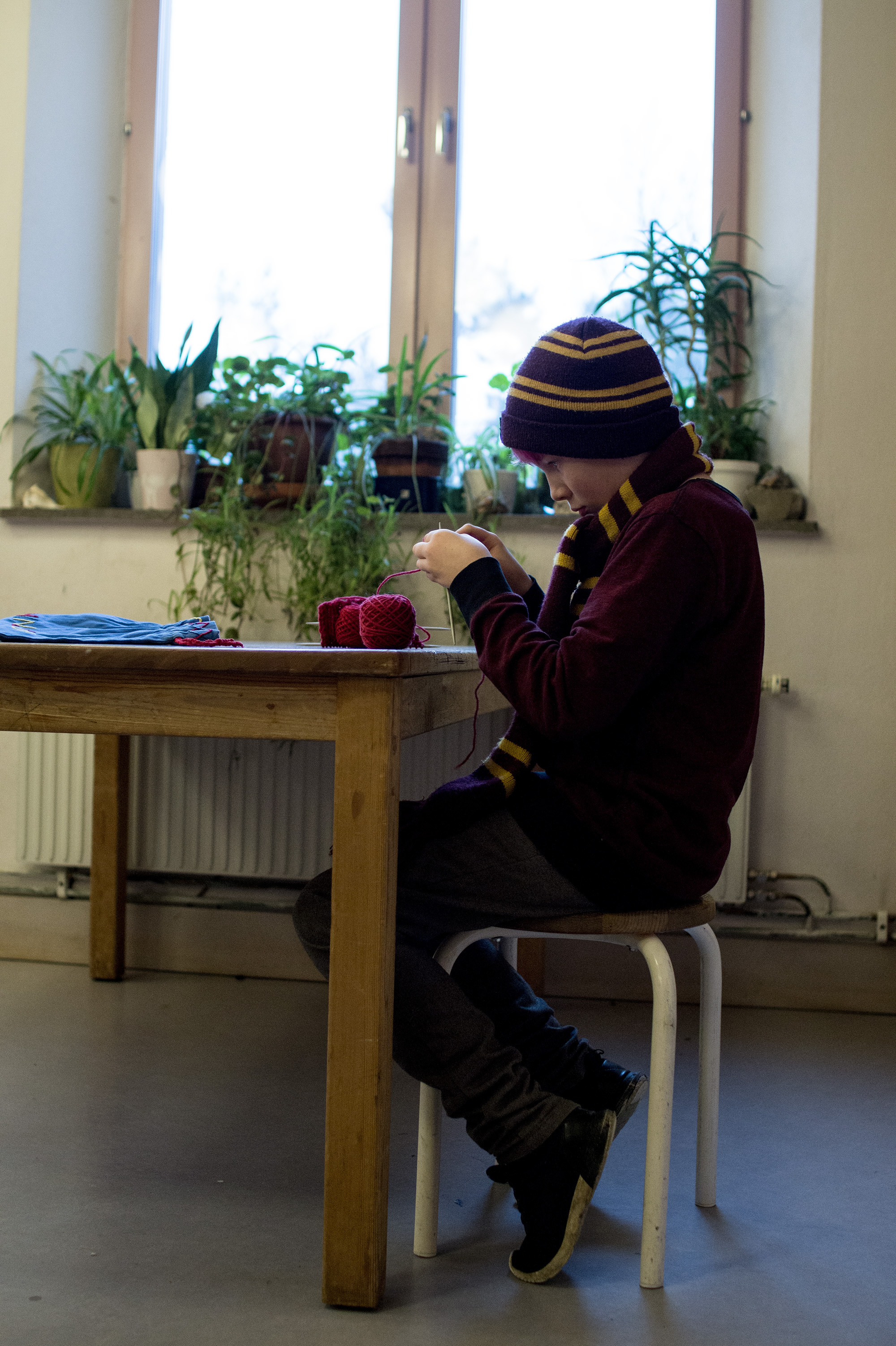 DSC08707 kopiera.jpg