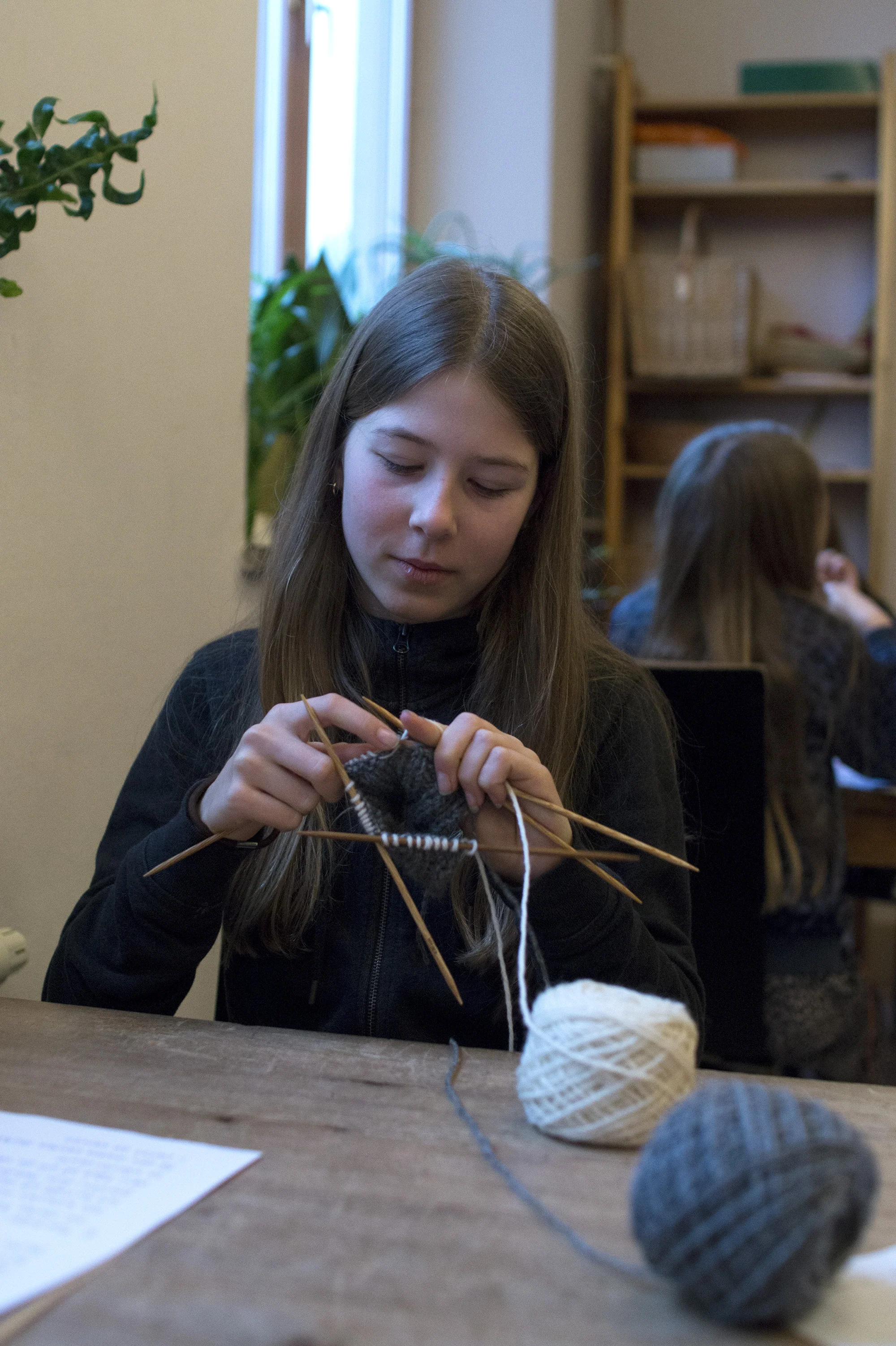 DSC08759 kopiera.jpg