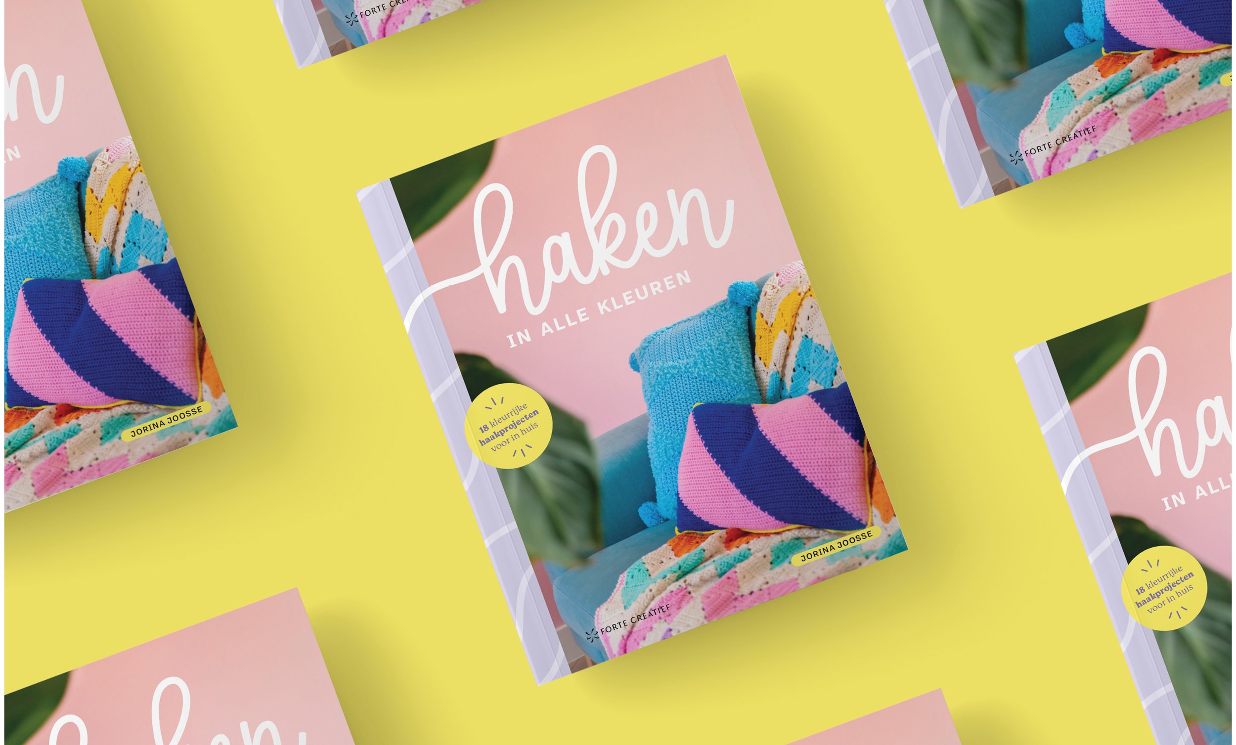 haken in alle kleuren_sigridbliekendaal.jpg