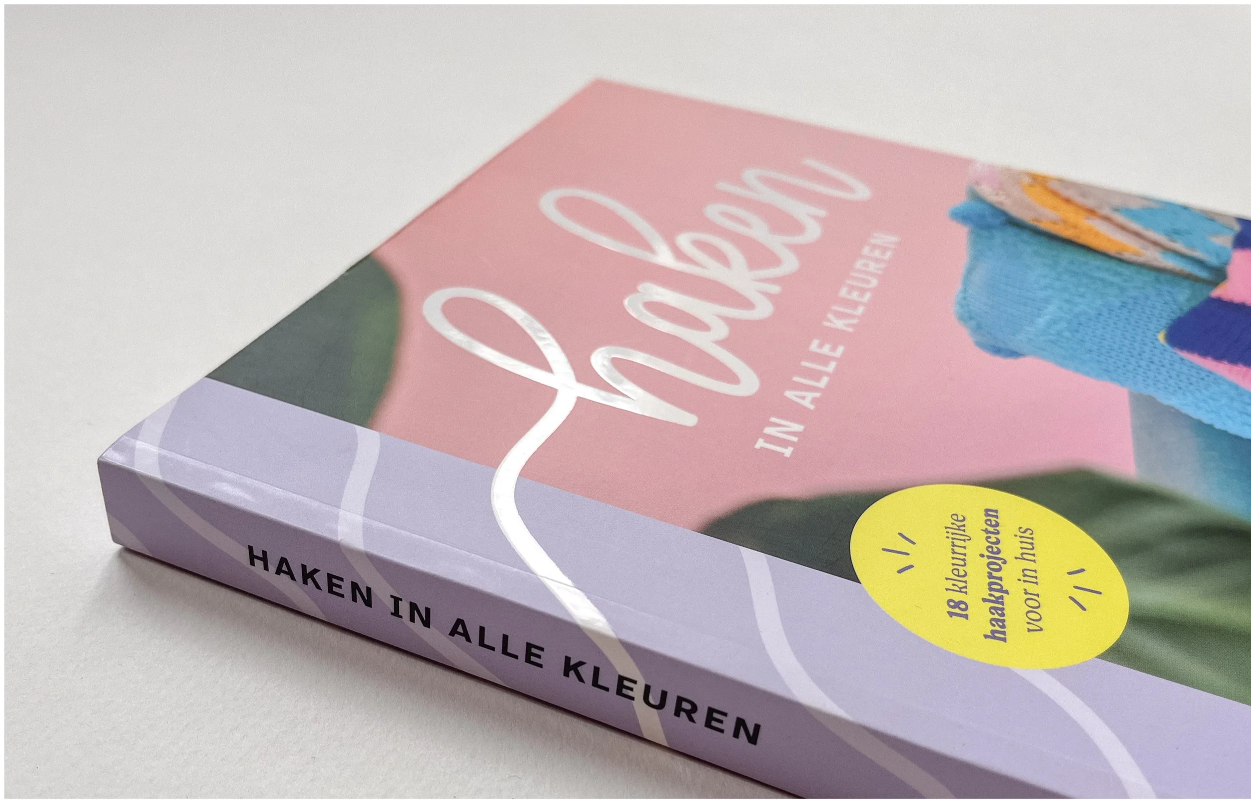 haken in alle kleuren_sigridbliekendaal2.jpg