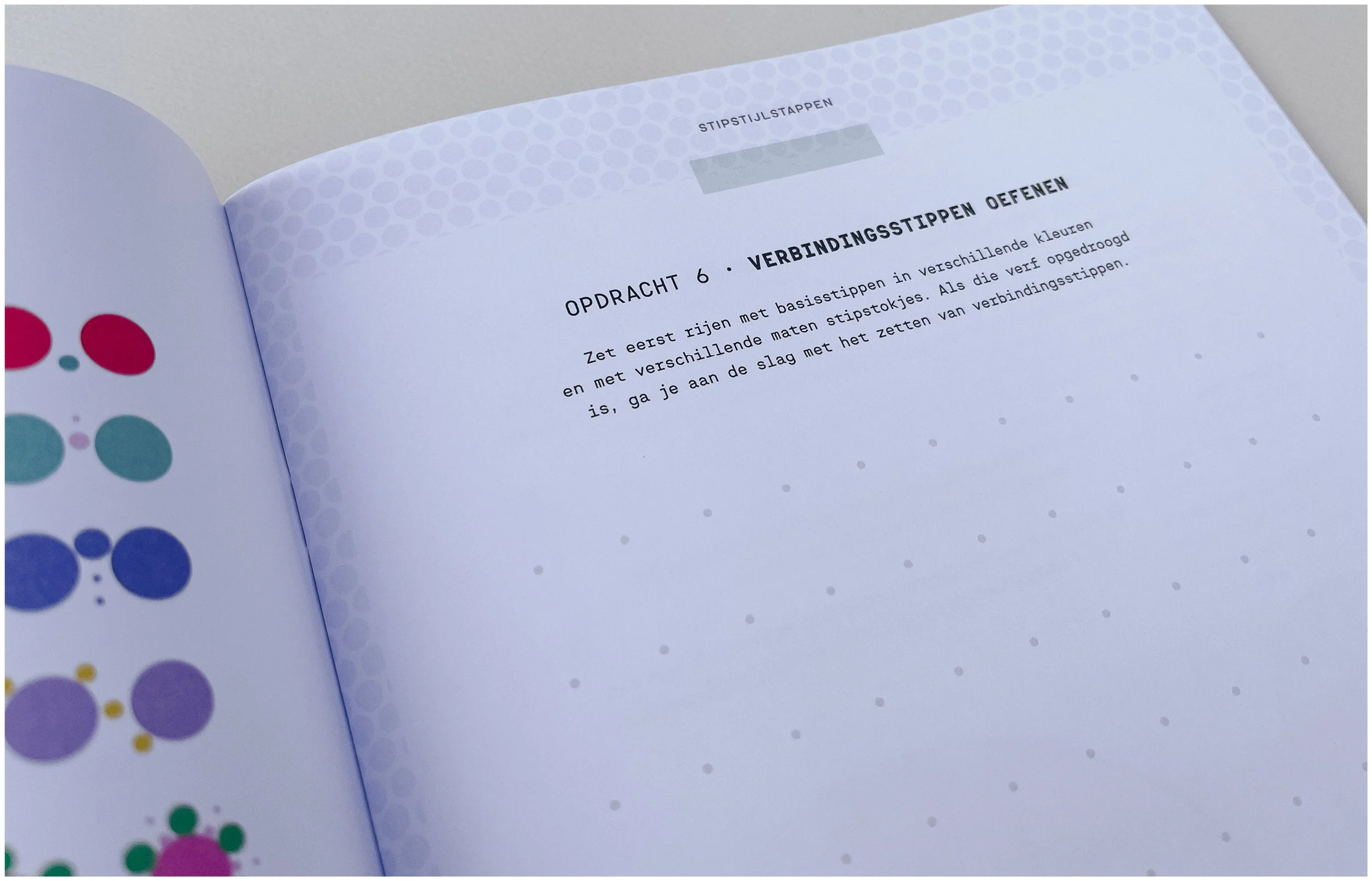 stippen. d.i.y. inspiratieschrift — sigrid bliekendaal