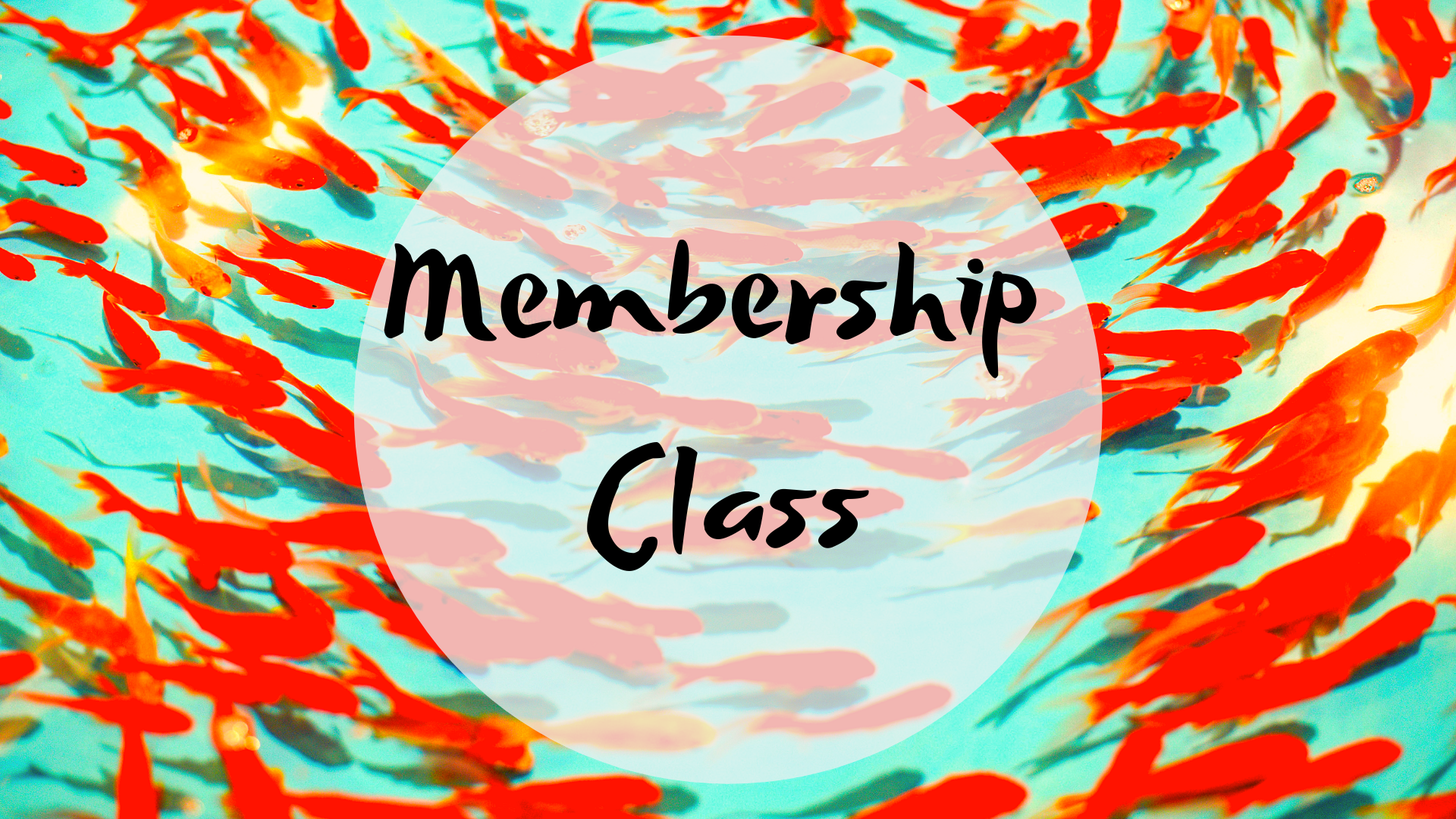 Membership Class (1).png