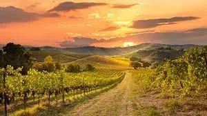 Spring Renewal Retreat