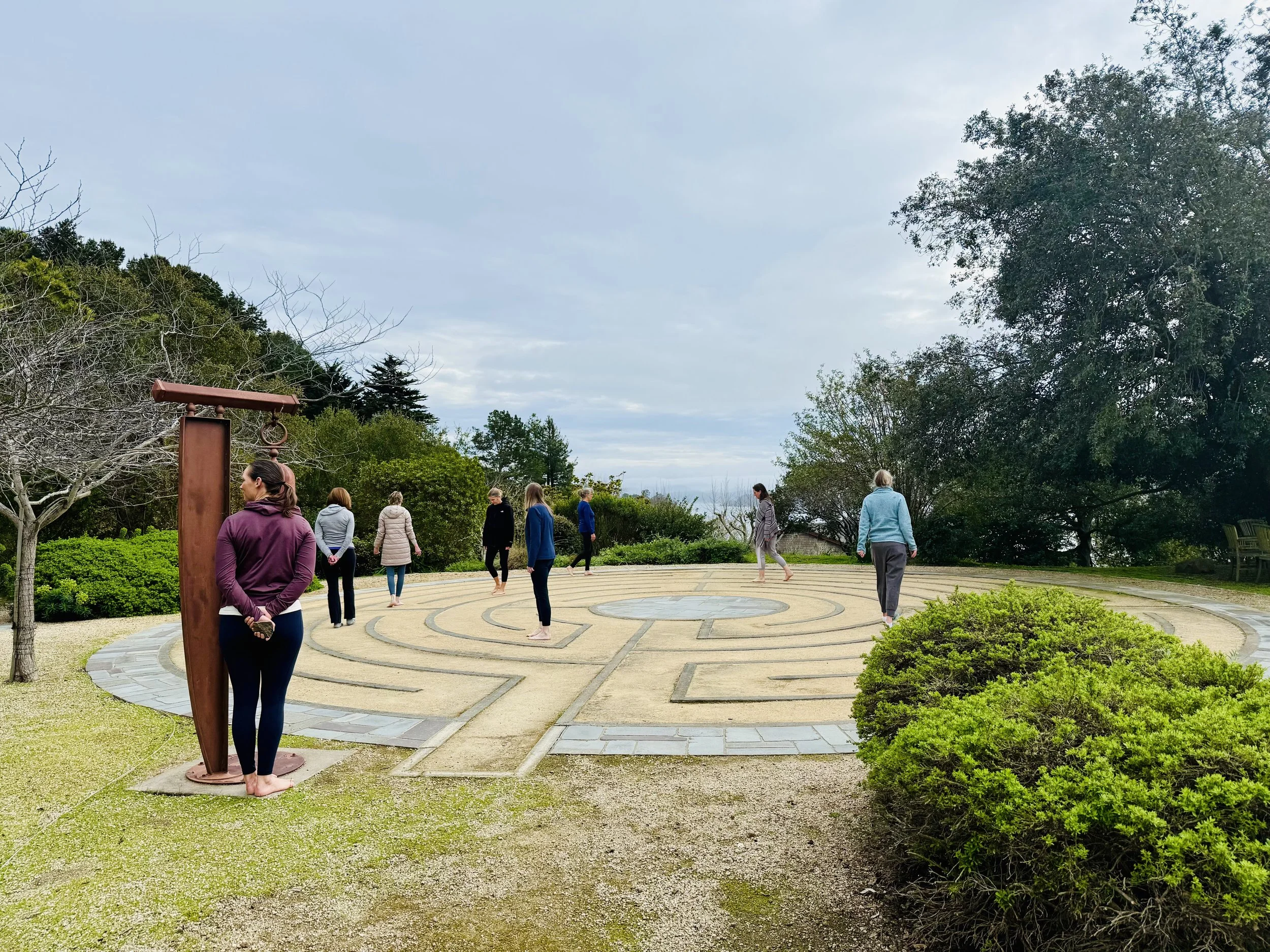 Spring Renewal & Blossoming