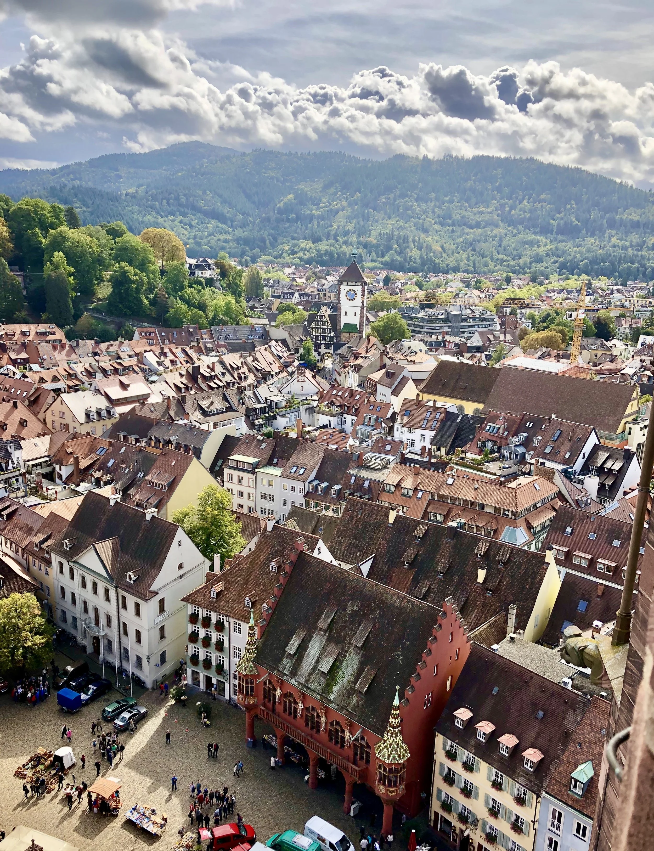 Hiking & Yoga in the Black Forest  * Der Schwarzwald