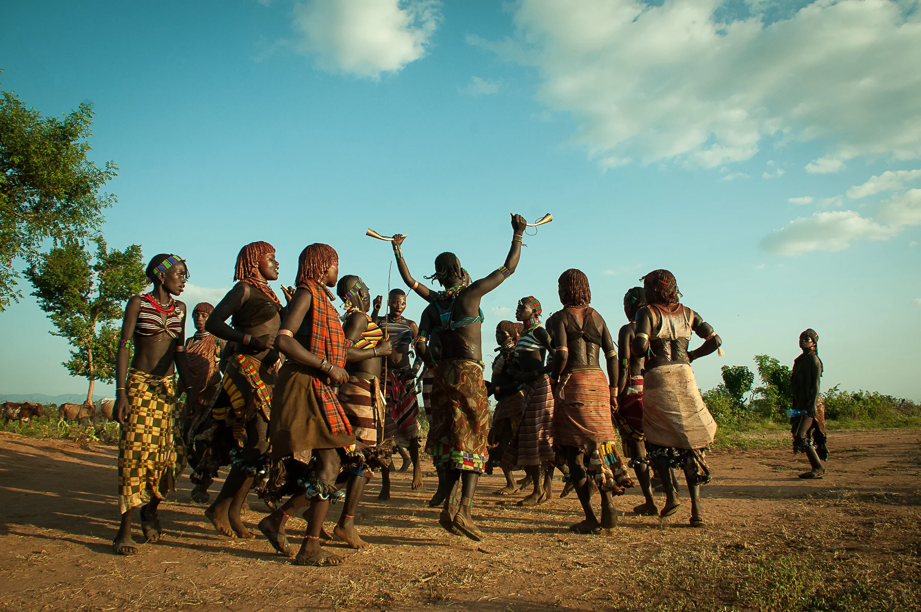 DSC_2372dancingomo.jpg